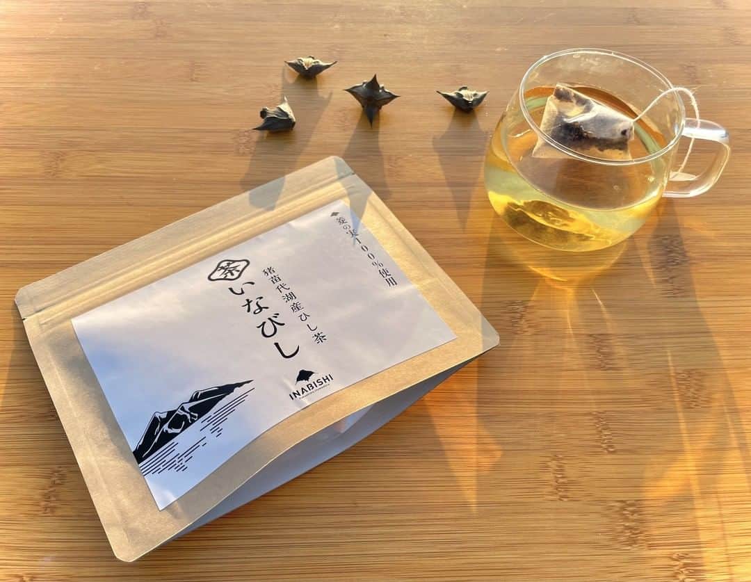 のインスタグラム：「【今日は新茶の日】  立春から八十八夜。新茶の日に、猪苗代町の「ひし茶」をご紹介します。  ひし茶は猪苗代湖で増殖している水草『菱(ひし)』の種を活用したお茶で、香ばしさとほんのり残る甘い風味が特徴です。  菱の大量発生は水質汚濁の要因の1つとして問題視されていましたが、逆にこれを活用しようと地域産業として製品化されました。菱の実の外皮にはポリフェノールが豊富に含まれているので、さまざまな効能も期待されています。  すっきりと飲みやすい口当たりで、お茶だけでももちろんですが、食事と一緒に楽しむのもおすすめです。お茶を飲んでほっと一息ついてみてくださいね。  #猪苗代湖産ひし茶 #いなびし茶 #いなびし #inabishi #新茶 #猪苗代湖 #猪苗代町 #福島県 #inawashirotown #Fukushima #RealizeFukushima #NotADreamFukushima #ひとつひとつ実現するふくしま」
