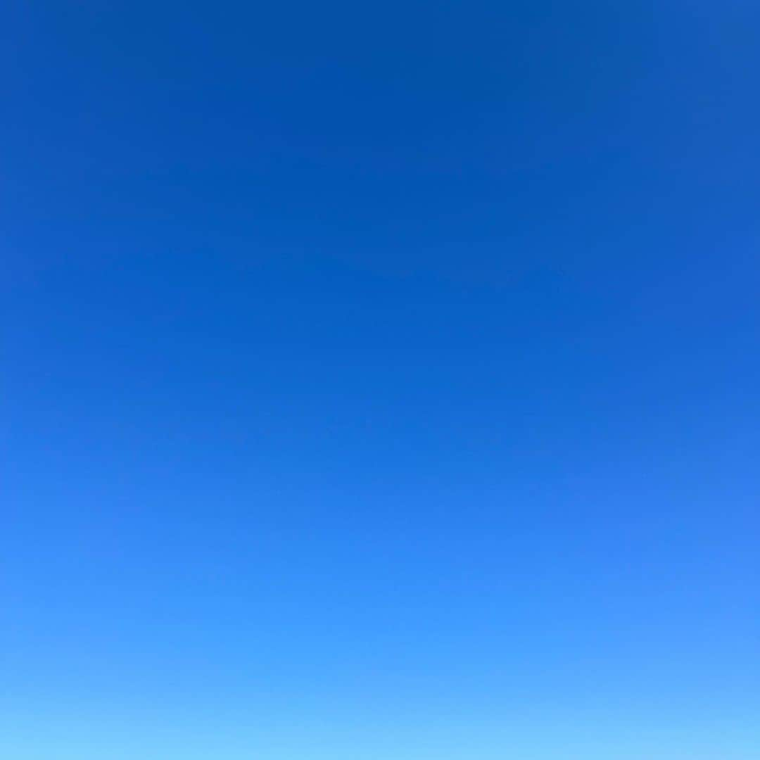 萩野志保子さんのインスタグラム写真 - (萩野志保子Instagram)「青空べんとう。 息子弁当🔵オット弁当 オムライス？ 卵の中はドライカレーです🟤 清々しい空の朝！ それだけで気分がちがいますね。 美しい青。 みなさまもどうぞ佳き日に！ #haveaniceday #💙  #坊弁当 #小学生お弁当 #小3男子 #ドライカレー #オムライス #オット弁当  #青空 #お弁当 #bluesky #lunchbox」5月2日 8時43分 - shihoko_hagino