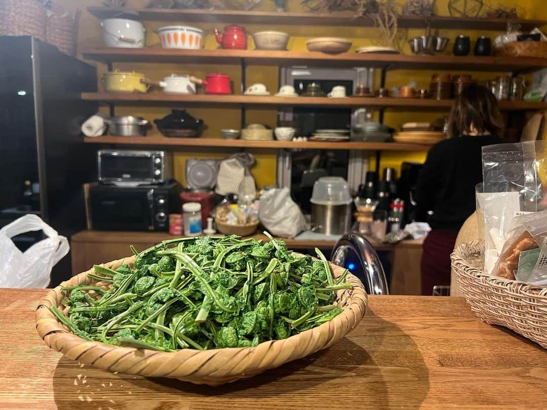 佐々木明のインスタグラム：「山の恵みをすぐ食べる季節に入っています。」
