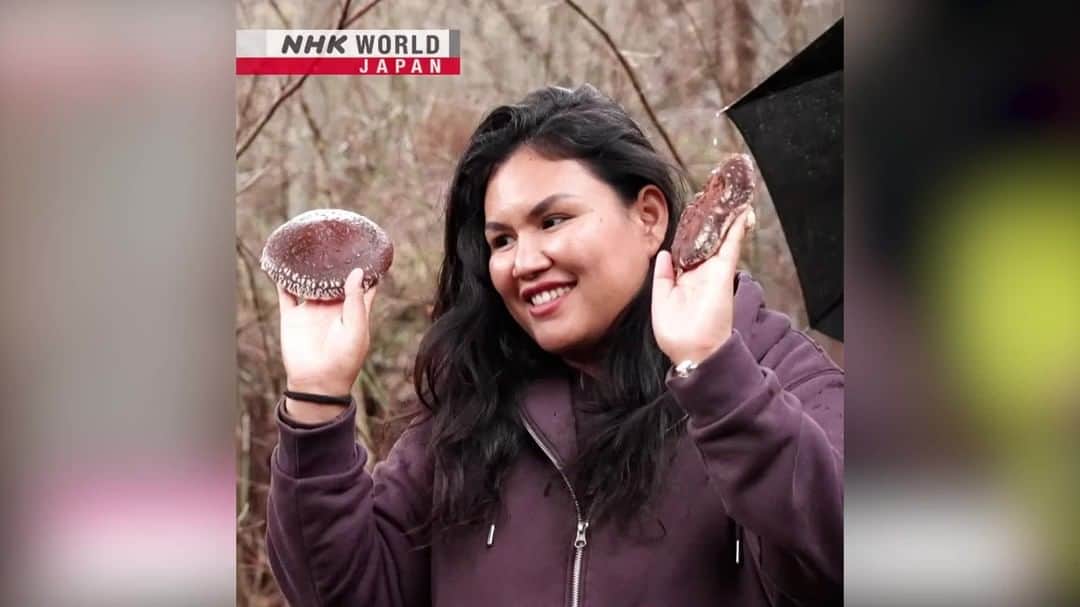 NHK「WORLD-JAPAN」のインスタグラム