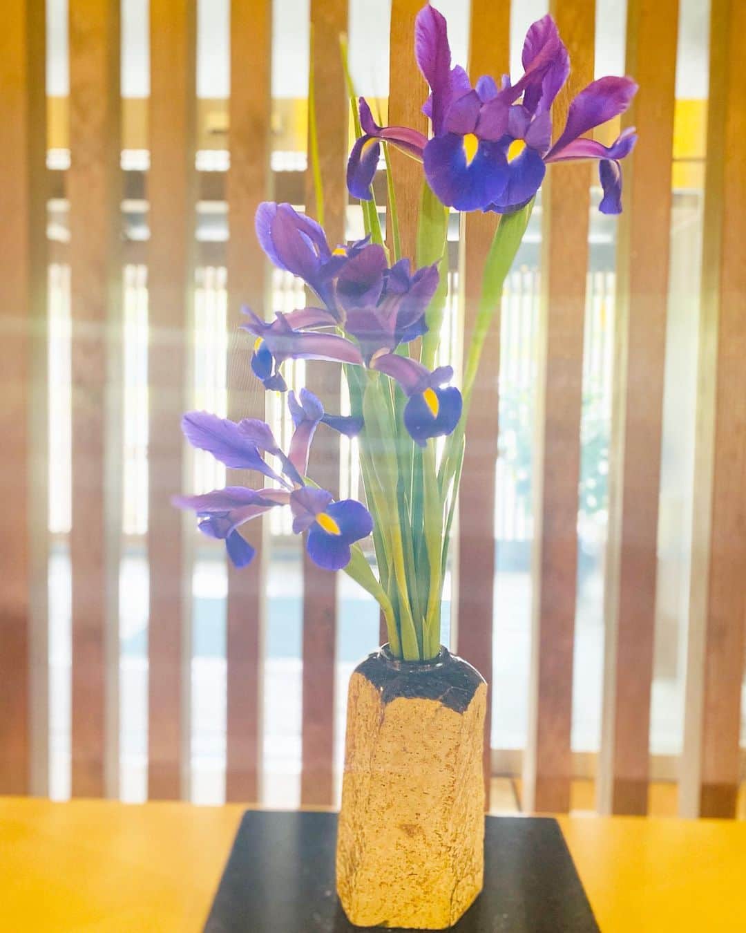 祥吉さんのインスタグラム写真 - (祥吉Instagram)「ハナショウブ  季節のお花をいただいたのでロビーに飾りました  調べると… 菖蒲湯に利用するショウブと花の美しいハナショウブは全くの別種だと知りました👀 花言葉は 「優しい心」「優雅」  #季節のお花 #花 #ハナショウブ #はなしょうぶ」5月2日 9時06分 - akoshokichi