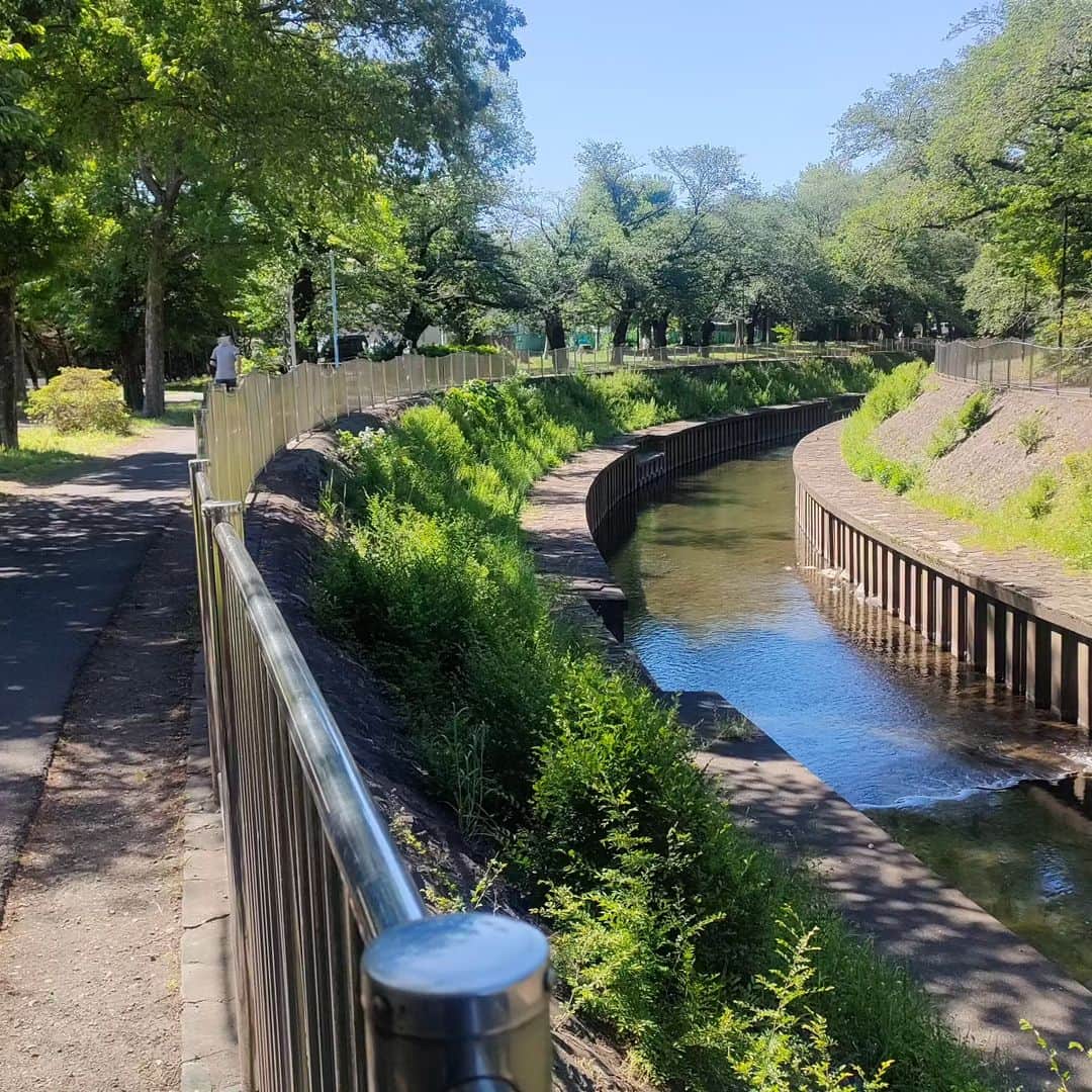 有馬徹さんのインスタグラム写真 - (有馬徹Instagram)「朝の散歩。 快晴。緑葉と川のせせらぎに癒やされる朝です。幸せです。  #朝散歩 #朝ジム #朝のルーティン」5月2日 9時19分 - inuarima