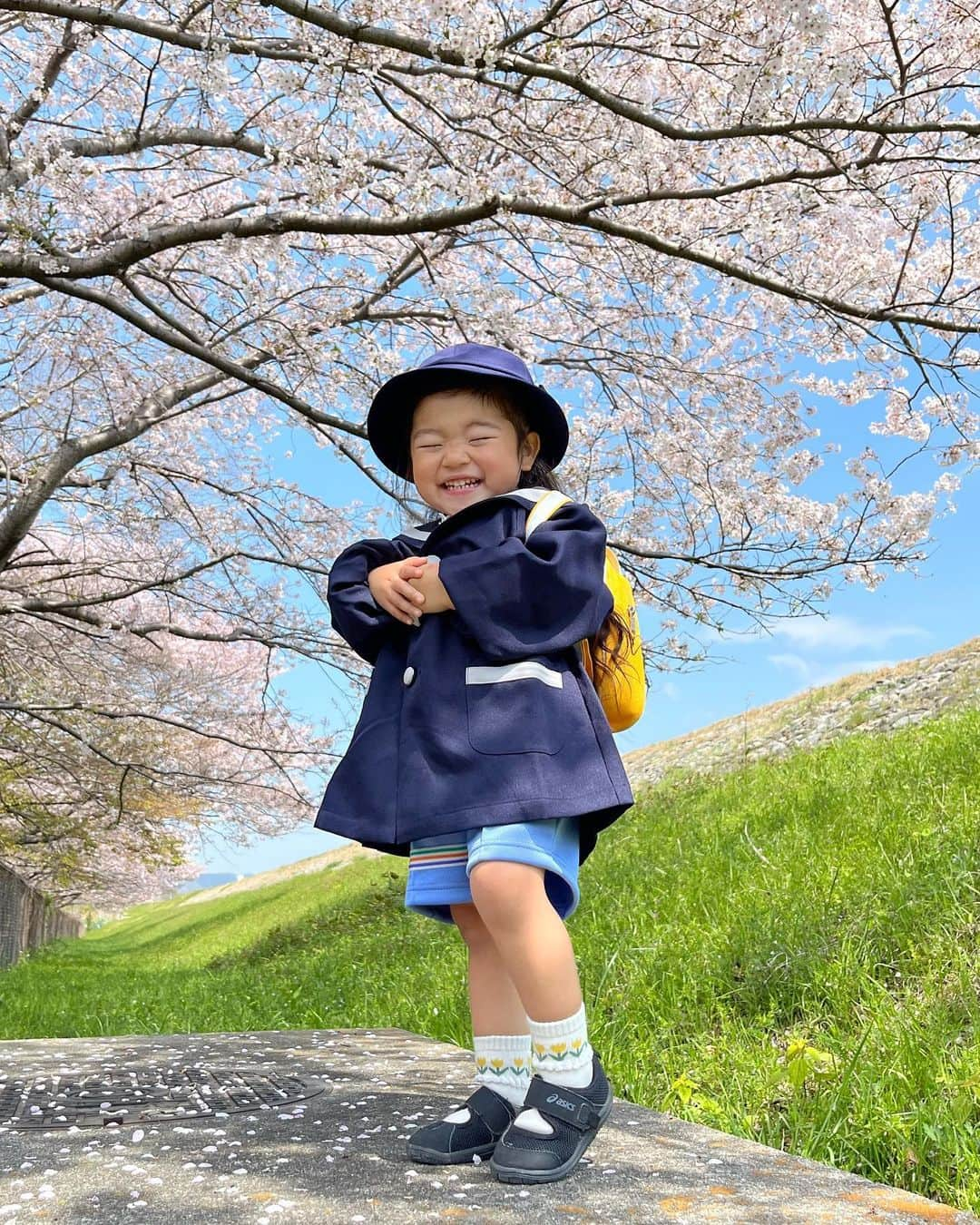 aco.さんのインスタグラム写真 - (aco.Instagram)「📷2023.4.4  4月中にpostしたかったのに あっという間に5月！  入園式には桜も散ってしまってるだろうと お花見に行った時に撮影しておきました🌸  ノリノリで色んなポーズをとってくれた娘  このぷにぷにの膝も 入園後には何度も転けてかさぶただらけに😂  まだ入園から1ヶ月足らず、 覚悟していたのに一度も泣かれたことはなく （思ってたんと違う事があって急に怒り出して泣く、 　とかは毎日のようにあるけど笑） 恐ろしいほどのパワーで幼稚園を満喫しております😂🫶  先生にも 「◯◯ちゃんはハッキリしてるからねー」って笑われる程  ハッキリしてるので お友達に嫌なことを言ってないか心配ですが 毎日友達の名前を沢山言っていて 覚えた歌をうたっていたり 手遊びを必死に再現しようとやっていたり （ちょこちょこ違ってて笑える） 本当に楽しそうです  子供が楽しいと親もこんなに楽しいのかと 14年も子育てしてきたはずなのに 改めて思わされます  （それだけ息子の時は 　私の心に余裕がなかったのかもしれないし 　息子より娘の方が 　感情爆発タイプだからかもしれないけど）  私も早く済ませておこうと 決してポジティブな気持ちからではないのですが 幼稚園の役員に立候補し、 どうせなら息子の時にはできなかったことを 楽しもうと思っています  これからの3年間が楽しみ😊 . . . 娘が幼稚園に入ったら 少し時間ができると思っていたのに 娘の低身長・乱視、息子の視力悪化の通院で 先週は週5で病院通いでした😇  幸い元気な子の病院通いなので、まだ楽ですが バタバタ過ぎて訳が分からなくなっていました😂  とりあえず一段落したので 自分を取り戻したいと思います笑 . . . . . #aco子育て記録 . #幼稚園入園 #幼稚園児 #桜の木の下で #季節を楽しむ暮らし  #こどものいる暮らし #こどもと暮らす #子育てを楽しむ #3歳 #3歳女の子 #10月生まれ #こどものいる暮らし #こどもと暮らす #子育てを楽しむ  #11歳差子育て #年の差兄妹 #年の差育児  #暮らしを楽しむ家づくり #暮らしの記録 #日常の記録 #日常を楽しむ #日常を楽しく .」5月2日 10時30分 - aco.chaaaaan