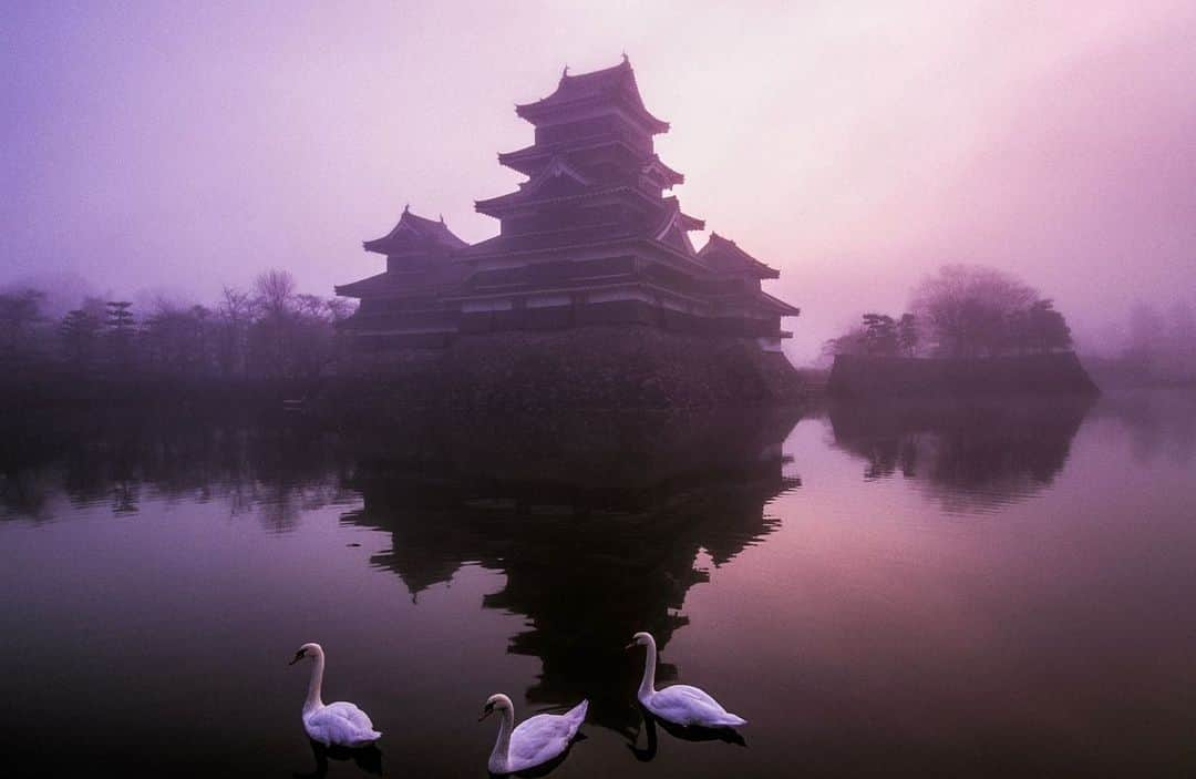 Michael Yamashitaさんのインスタグラム写真 - (Michael YamashitaInstagram)「On the path of Samurai: Sunrise on the moat of 16th century Matsumoto-jo, known as the Crow Castle due to its black exterior. It’s one of the oldest and  best preserved castles in Japan. #matsumoto #matsumotojo #matsumotocastle #samurai #japanesecastle」5月2日 10時35分 - yamashitaphoto