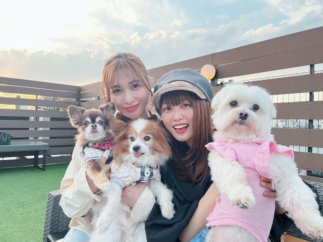 大島麻衣のグルメインスタ