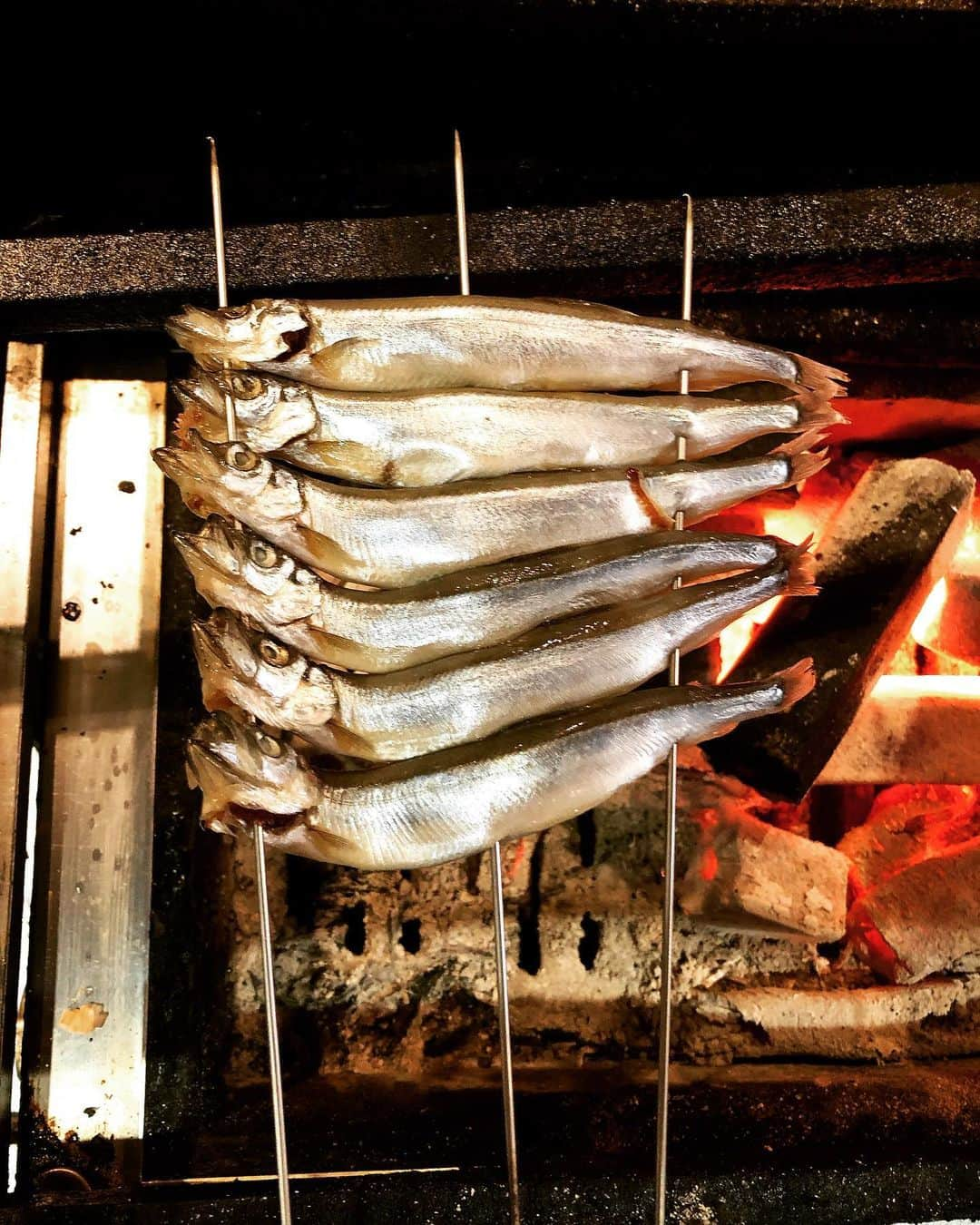 新宿寅箱さんのインスタグラム写真 - (新宿寅箱Instagram)「・ 屋根よ〜りた〜か〜い 本日も鯉のぼり🎏あり〼 ・ ゴールデンウィーク真っ只中 ご予約ありがとうございます‼︎ ・ 看板のない隠れ家ですので 暖簾を目印においでください #ランチ #寅箱 #寅箱ランチ #新宿寅箱 #新宿グルメ #新宿ランチ #こいのぼり #鯉のぼり #子だくさん #東京グルメ #東京ランチ #隠れ家 #隠れ家レストラン #隠れ家バー #隠れ家居酒屋 #隠れ家的なお店 #隠れ家グルメ」5月2日 11時45分 - torabako519