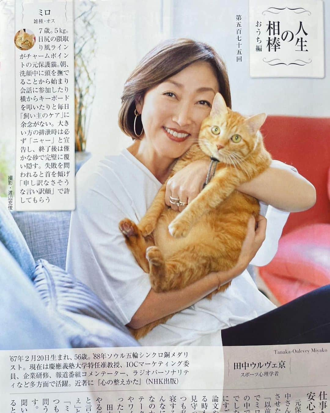 田中ウルヴェ京のインスタグラム：「週刊現代「人生の相棒」 ミロの初取材🐈😁  平日昼間、いつもなら爆睡のお昼寝時間のはずが。  記者さんとカメラマンさんがいらしたとたん、 チャッチャッチャと2階から降りていらしたミロ様。  自分の撮影だとご存じだったようで。 スッと抱っこされにきました。  素晴らしい。  たくさん撮っていただきありがとうございました🙏🙇‍♀️  #愛猫  #人生の相棒  #ミロ  #ちゃとら」