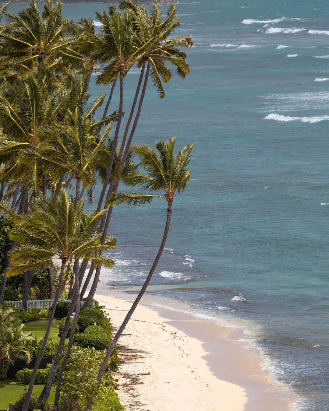 YUKIさんのインスタグラム写真 - (YUKIInstagram)「“May you never be too busy  to stop breathe under a palm tree.”  毎回ハワイ旅行は 「何もしない」が良さでもある🌱 のんびりとホテルからの景色を楽しんだり 朝早く目が覚めたときには、 コーヒー片手に目の前のビーチ沿いを散歩してみたり。  @hyattwaikikijp は立地が凄くよくて ホテル内にABCマート2つにカフェやアパレルショップ、 レンタカーだとか色々揃っていて本当に便利！  週に2回ファーマーズマーケットも ホテル1階で開催されていたりもするよ🍋  ハワイ旅行の際、是非泊まってみてね🤍  #hawaii #oahu #waikiki #travel #trip  #hyattregencywaikiki #ハイアットリージェンシーワイキキ」5月2日 12時20分 - 001y_k_
