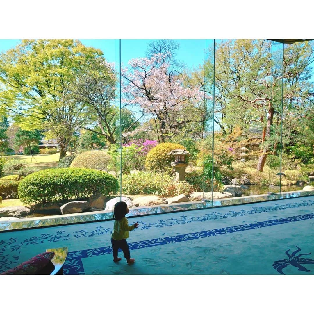 矢田部ゆかさんのインスタグラム写真 - (矢田部ゆかInstagram)「両親と山梨旅🗻✨  お宿は常磐ホテル🌿  ここは私と夫が以前泊まったことあるんだけど、雰囲気もお料理も良くていつか両親を連れてきたいなと思ってて今回実現✨ ロビーから見えるお庭が素敵… お嬢は探検しまくりでした👧🎶 お部屋は富士山ビュー🗻  ちなみに皇室ゆかりの宿で将棋や囲碁のタイトル戦の会場にもなるホテル😊  名探偵コナンのアニメ「太閣恋する名人戦」にもこの宿が登場します（聞いてないw）  #常磐ホテル  #山梨旅行 #山梨ホテル #山梨旅館 #名探偵コナン #太閣恋する名人戦」5月2日 14時48分 - yucaparis93