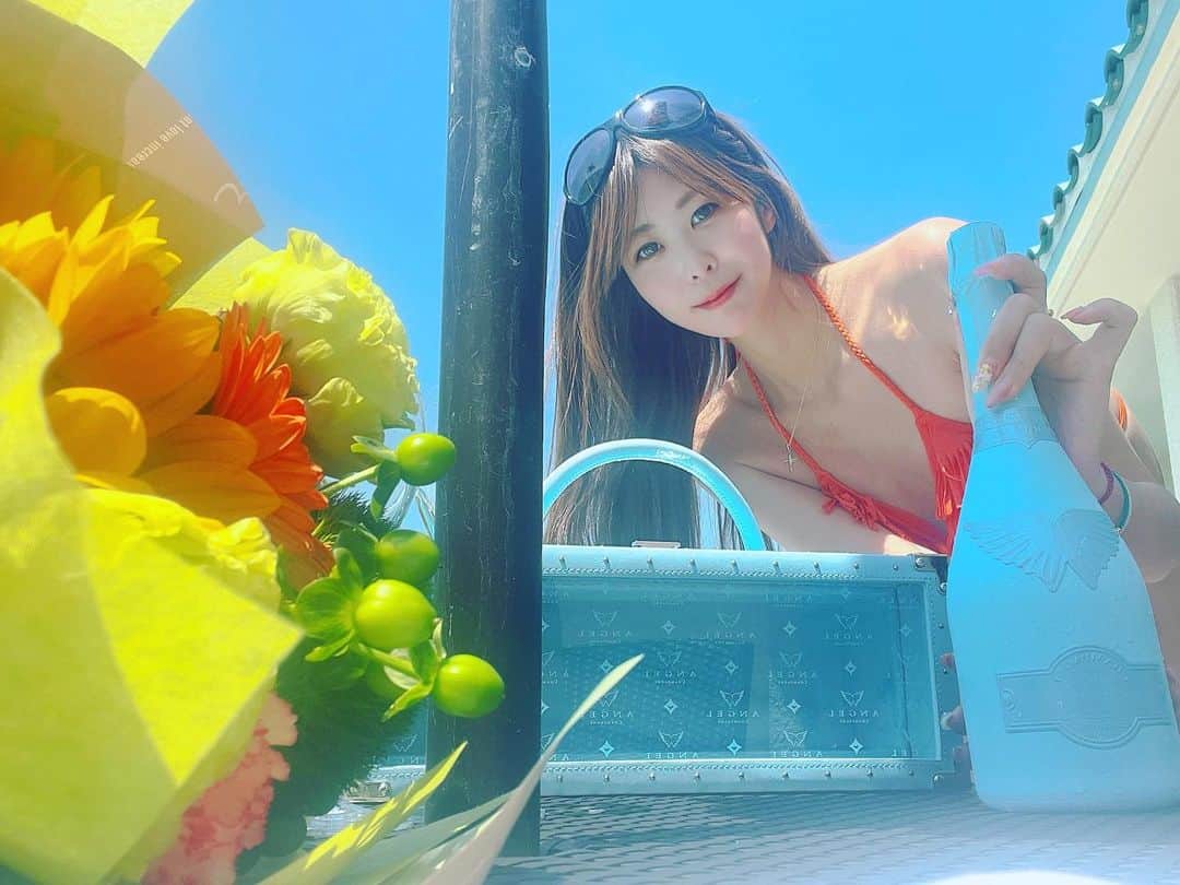 武田智恵　乳首 