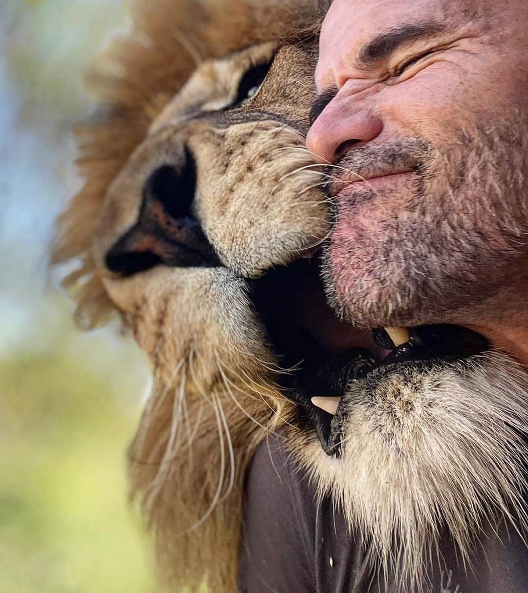 のインスタグラム：「For some people it’s hard to believe that you can have a trusting relationship with a lion. There’s a sense that a lion should behave in a certain way, just like a shark or a crocodile should behave in a certain manner. I’ve spent well over 2 decades trying to show my audience a different side to these incredible animals. Today I met some lovely people from Poland who work very closely with horses and we talked at length about animal behaviour and the similarities, yes similarities, between lions and horses. We also talked about how there are many horses being abused by people around the world, just as there are lions and how crazy it is that people can’t seem to discern the difference. People see folks interacting with horses and assume it must be fine. There is this black or white approach to interspecies interactions. It’s either wrong or right and there’s no ground in between or at least the ability to make an informed assessment. It seems this isn’t the only polarized topic flying around on social media these days, but then ironically I think it’s ‘social’ media causing much of this. #asocialmedia #socialnotsocialmedia #opinions #polarised #interspeciesfriendship #horses #lions #lionesses」