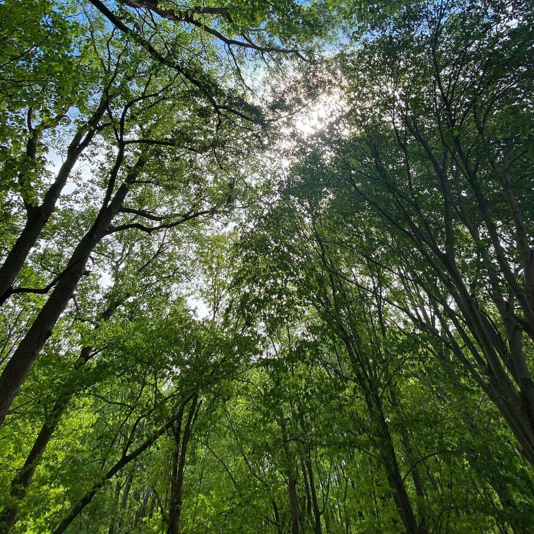 レイチェルロイさんのインスタグラム写真 - (レイチェルロイInstagram)「Blessings on your journey 🍃✨ I travel so I can connect with loved ones, so I can get out of my head and into my heart. I travel so I can feel God in nature when it is sometimes too noisy or confusing to hear Him in cities. I travel with my new RRR suitcases because they are chic easy and cost effective, saving money on what I bring for what would rather spend it on, the experiences. Available at @rossdressforless   Happy Journeies ✨  #RachelRoy #Travel #RachelRachelRoy #Luggage #Suitcase #Nature #Love」5月3日 2時27分 - rachel_roy