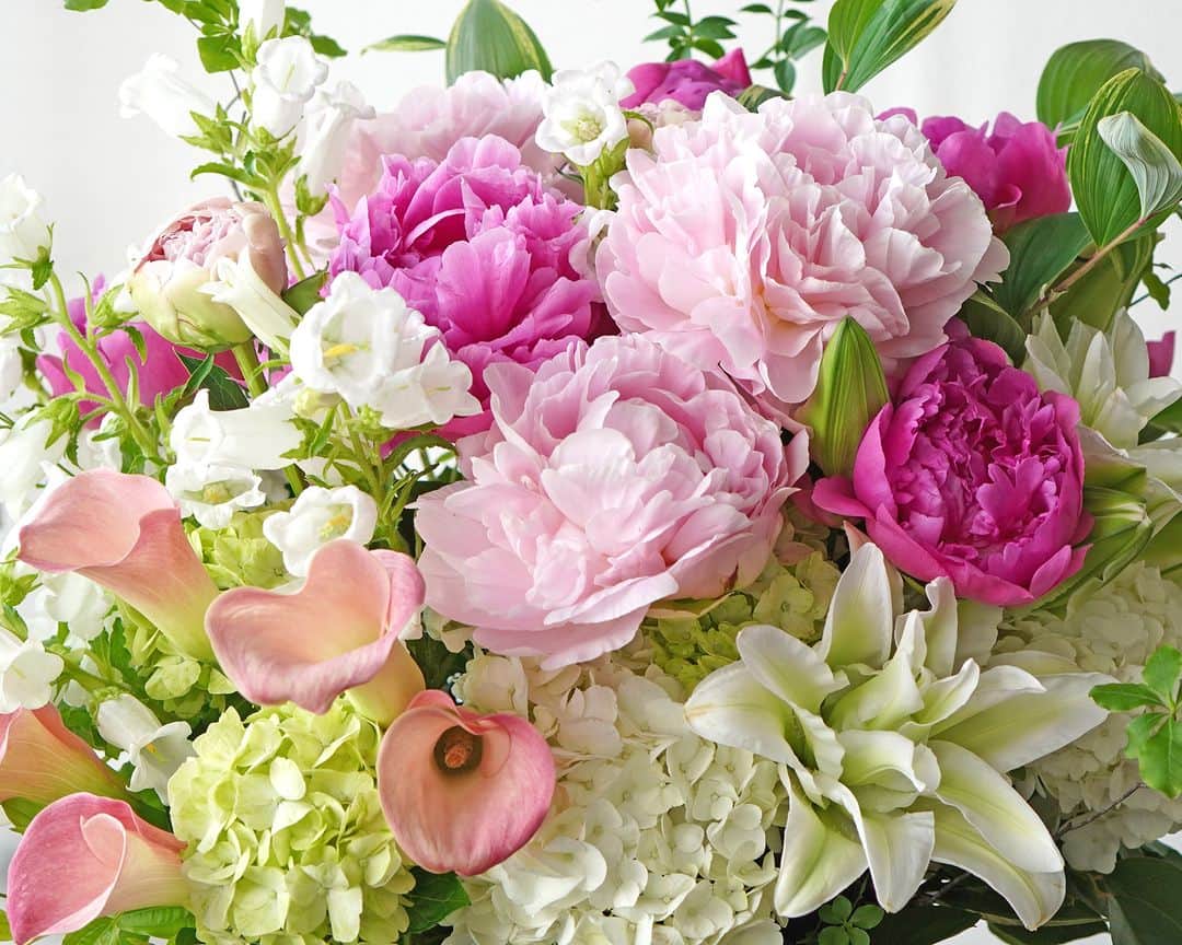 AOYAMA_HANAMOさんのインスタグラム写真 - (AOYAMA_HANAMOInstagram)「濃淡ピンクの芍薬に、爽やかな白とグリーンの花々を合わせて。 ・ 濃淡ピンクの大輪の芍薬（ピオニー）に、淡いピンクのカラー、白い八重咲きのユリやカンパニュラ、白と淡いグリーンのハイドランジアなど。透明感のある配色の花々に、細やかなリーフでナチュラルな趣きを加えた、華やかで上品なデザインです。 ・ 芍薬は優雅な花姿はもちろん、ふんわりと優しい芳香もその魅力のひとつ。 香りの種類や強さは品種によって違いがあり、バラに似た甘い香りを放つ品種もあれば、甘さ控えめのグリーン系の香りの品種もあります。 芍薬の繊細な美しさと豊かな香りで、清々しい初夏の訪れを感じてみてはいかがでしょうか。 ・ 商品名：芍薬のアレンジメント＜エモシオン＞ - - - #aoyamahanamo #青山花茂 #お花のある生活 #花が好きな人と繋がりたい #花を贈ろう #花のある暮らし #花のあるくらし #花のある日常 #癒しの花 #季節の花 #旬の花 #花とおうち時間 #花贈り #フラワーギフト #花の贈り物 #アレンジメント #芍薬アレンジメント #ピオニーアレンジメント #芍薬 #シャクヤク #ピオニー #かぐや姫 #バンカーヒル #カラー #ユリ #カンパニュラ #ハイドランジア #アジサイ #ドウダンツツジ #初夏の花」5月2日 18時00分 - aoyama_hanamo