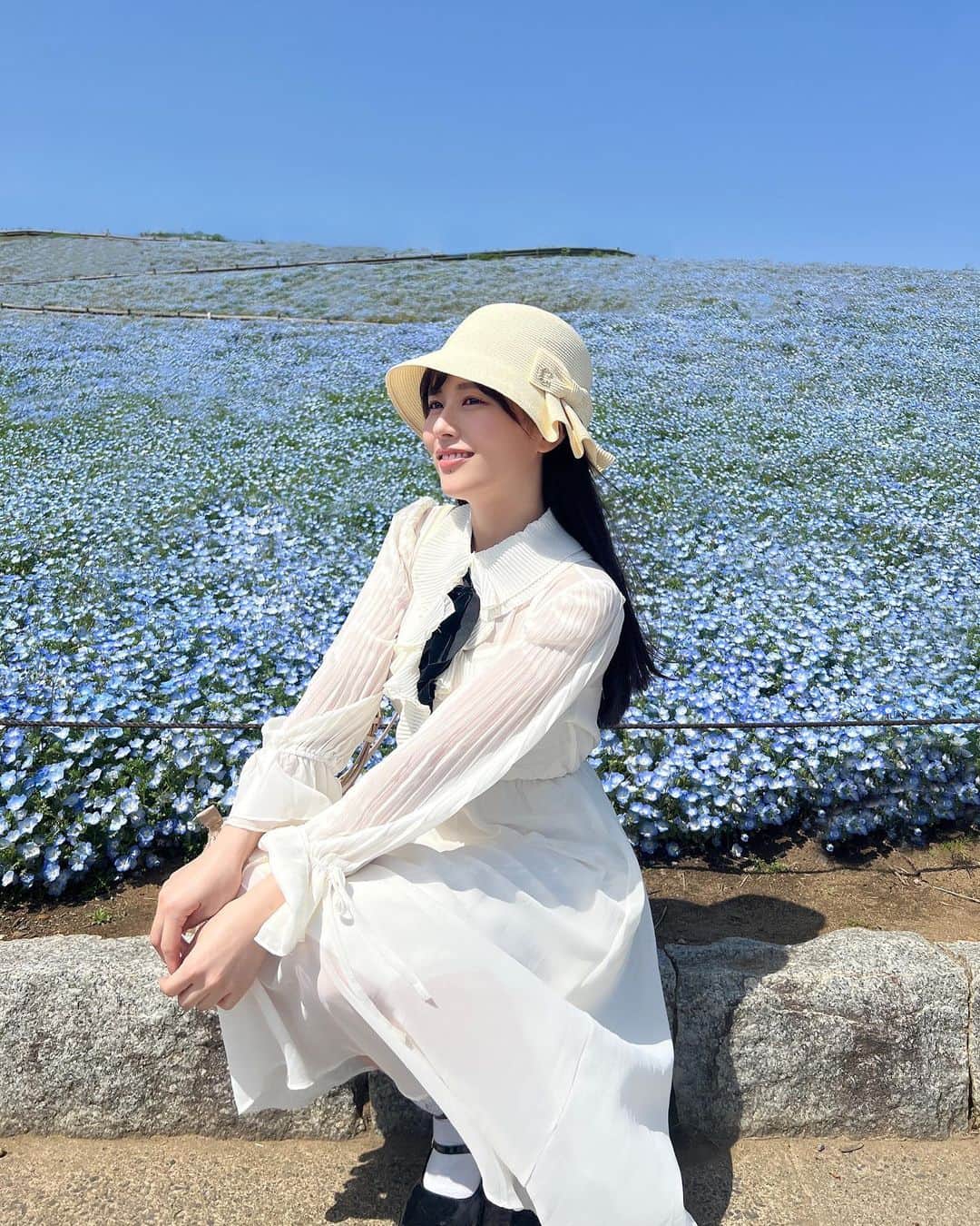 ちとせよしののインスタグラム：「念願のネモフィラ畑❣️ 昔からずーっと行きたくてやっと行けました…！((o(｡>ω<｡)o)) 可愛いワンピースと帽子もおろせて最高の1日👒♡  次はサイクリングもしてみたいなぁ🚲💨  #国営ひたち海浜公園 #ひたち海浜公園 #茨城観光 #ネモフィラ #rosebleue #ca4la」