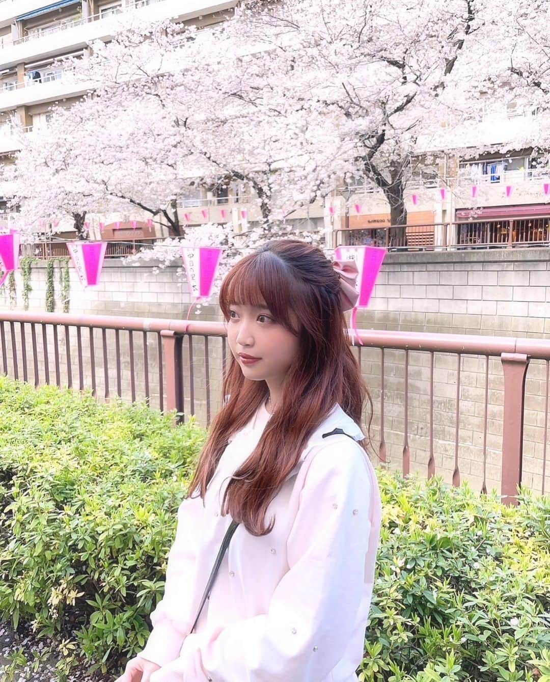 北島萌加のインスタグラム：「今年は桜みにいけたから満足…🌸💞  #もえちゃぽ #目黒川 #目黒川の桜 #目黒川桜まつり #ハーフアップ #🎀 #リボン #ウェーブ巻き #epine #エピヌ #フレンチガーリー #ヴィンテージガーリー #fashion #03」