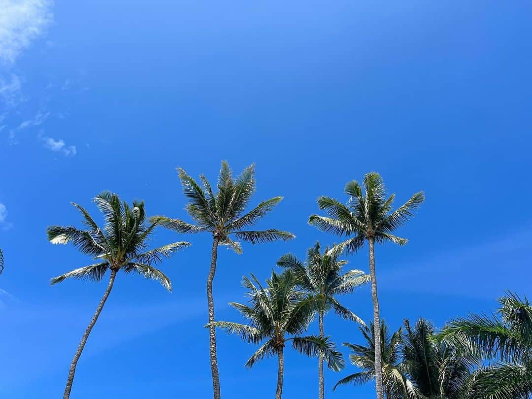 エレナ・アレジ・後藤のインスタグラム：「aloha 🌺 first time in Hawaii 🥹」