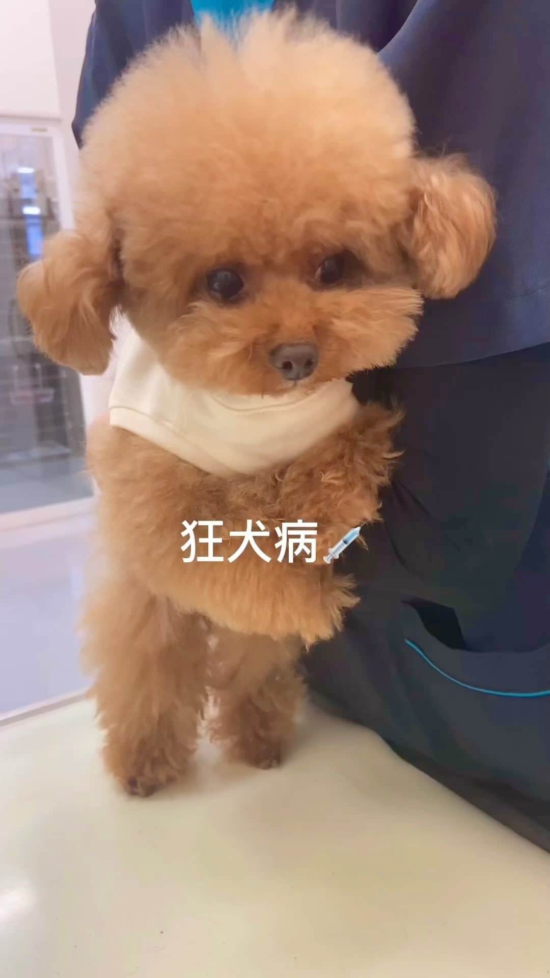 しらす先輩のインスタグラム