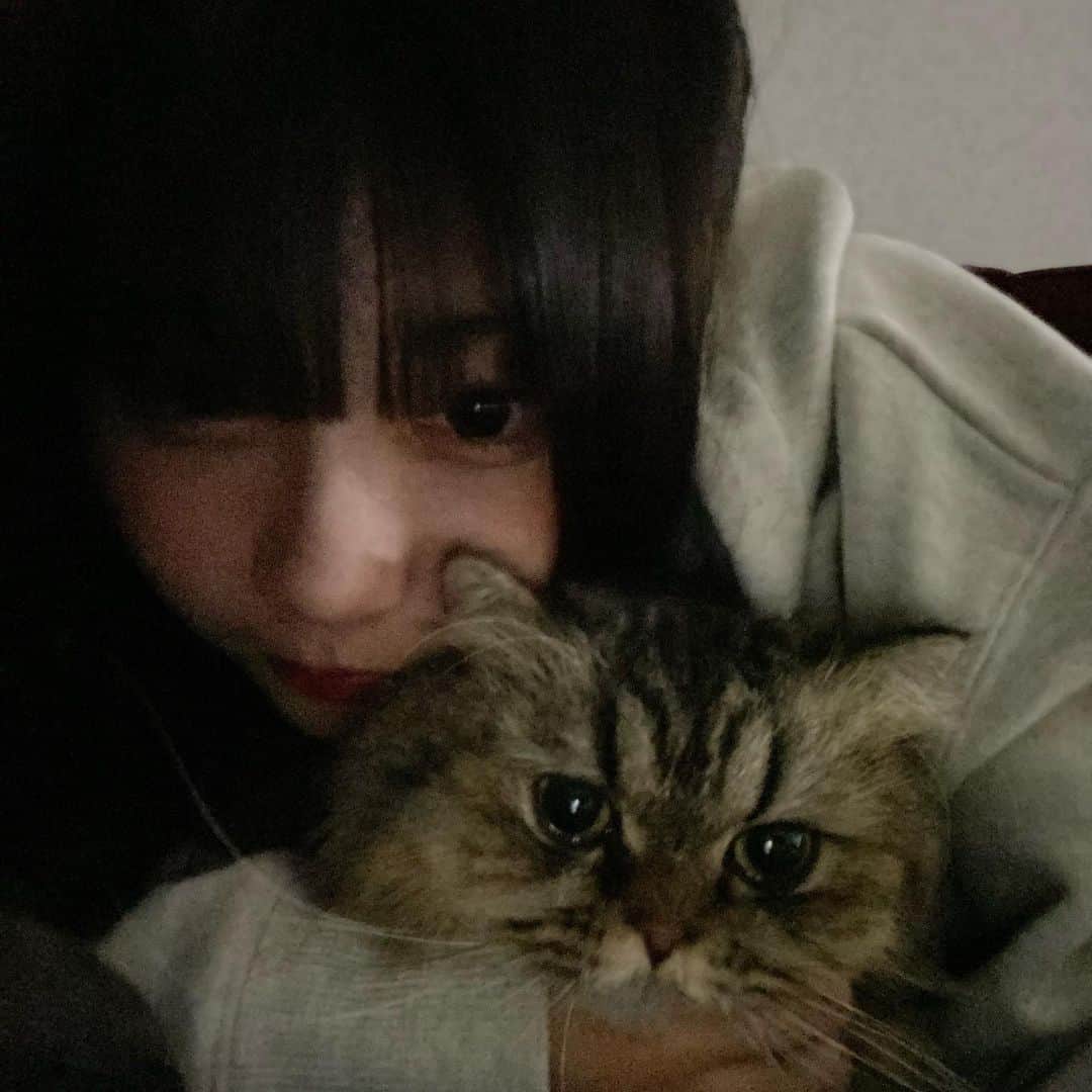 ここねのインスタグラム