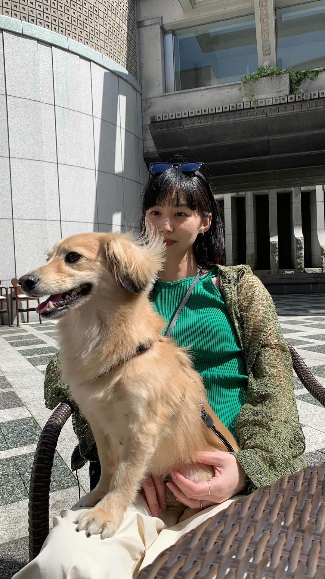 Shiho Sasakiのインスタグラム：「休日🐾🕶️🚶‍♀️」