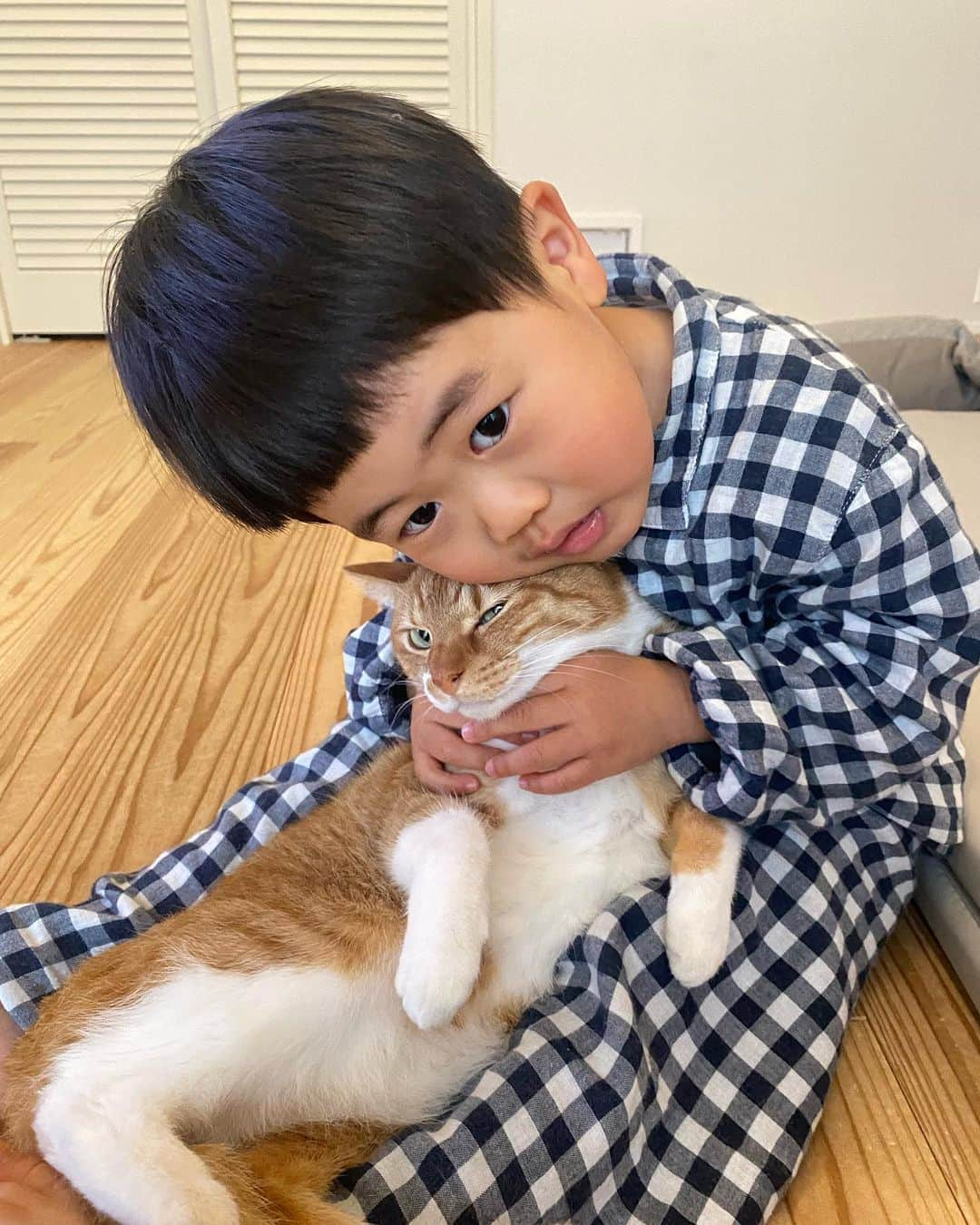 ひよりさんのインスタグラム写真 - (ひよりInstagram)「止まらぬ猫愛🫶」5月2日 18時57分 - nekohiyo