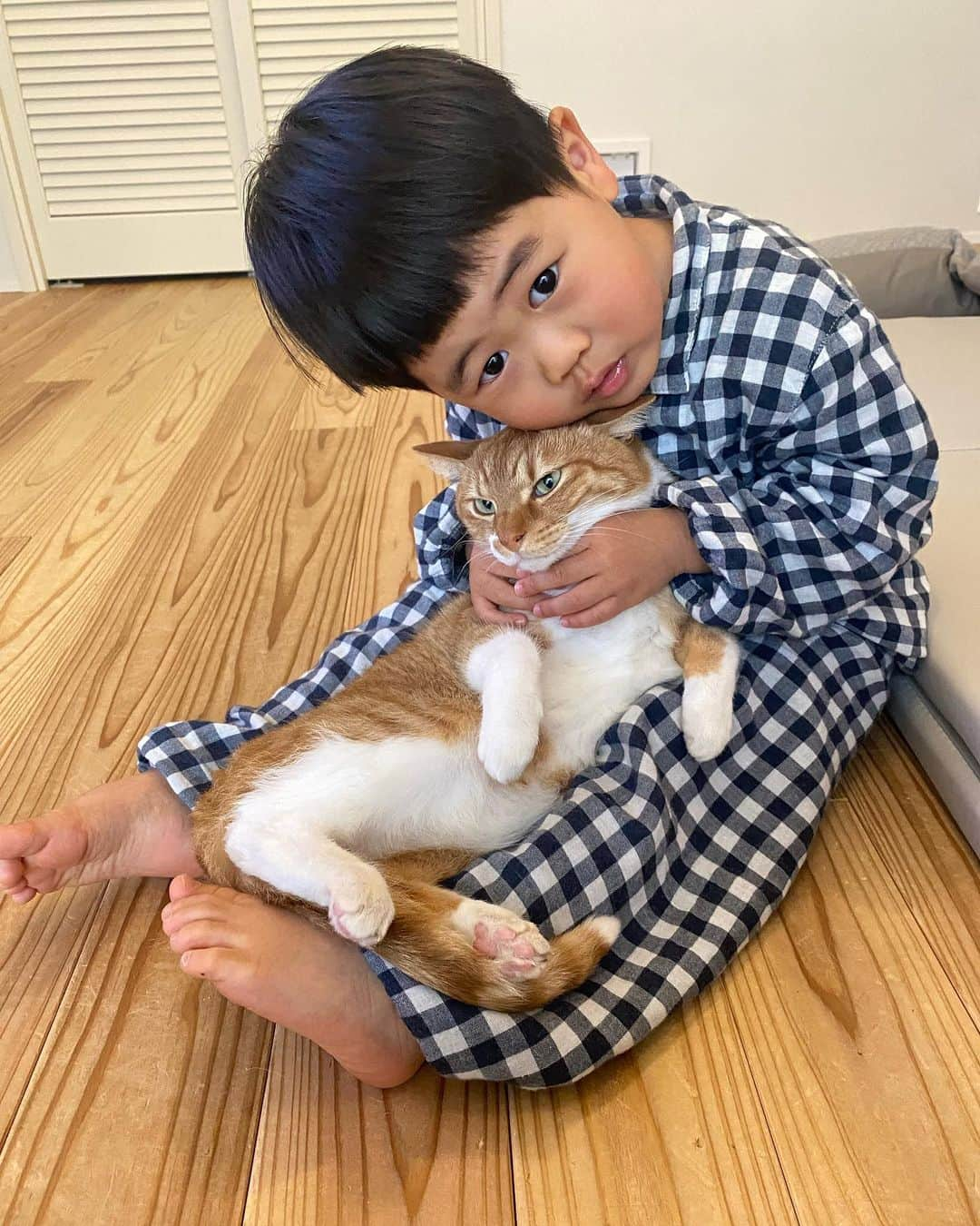 ひよりさんのインスタグラム写真 - (ひよりInstagram)「止まらぬ猫愛🫶」5月2日 18時57分 - nekohiyo