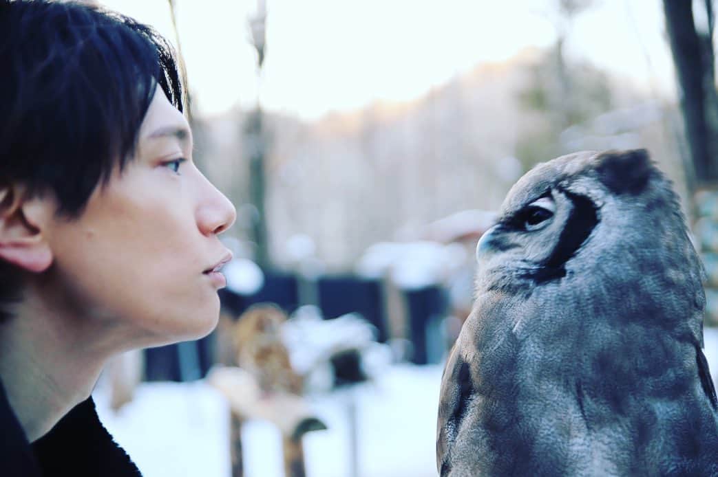 のインスタグラム：「また行きたいなー  #べっけんです #北海道 #DVD第一弾」