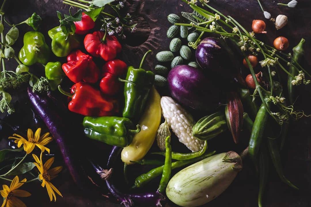 ～IRORIダイニング～ゆとりろ西伊豆のグルメインスタ