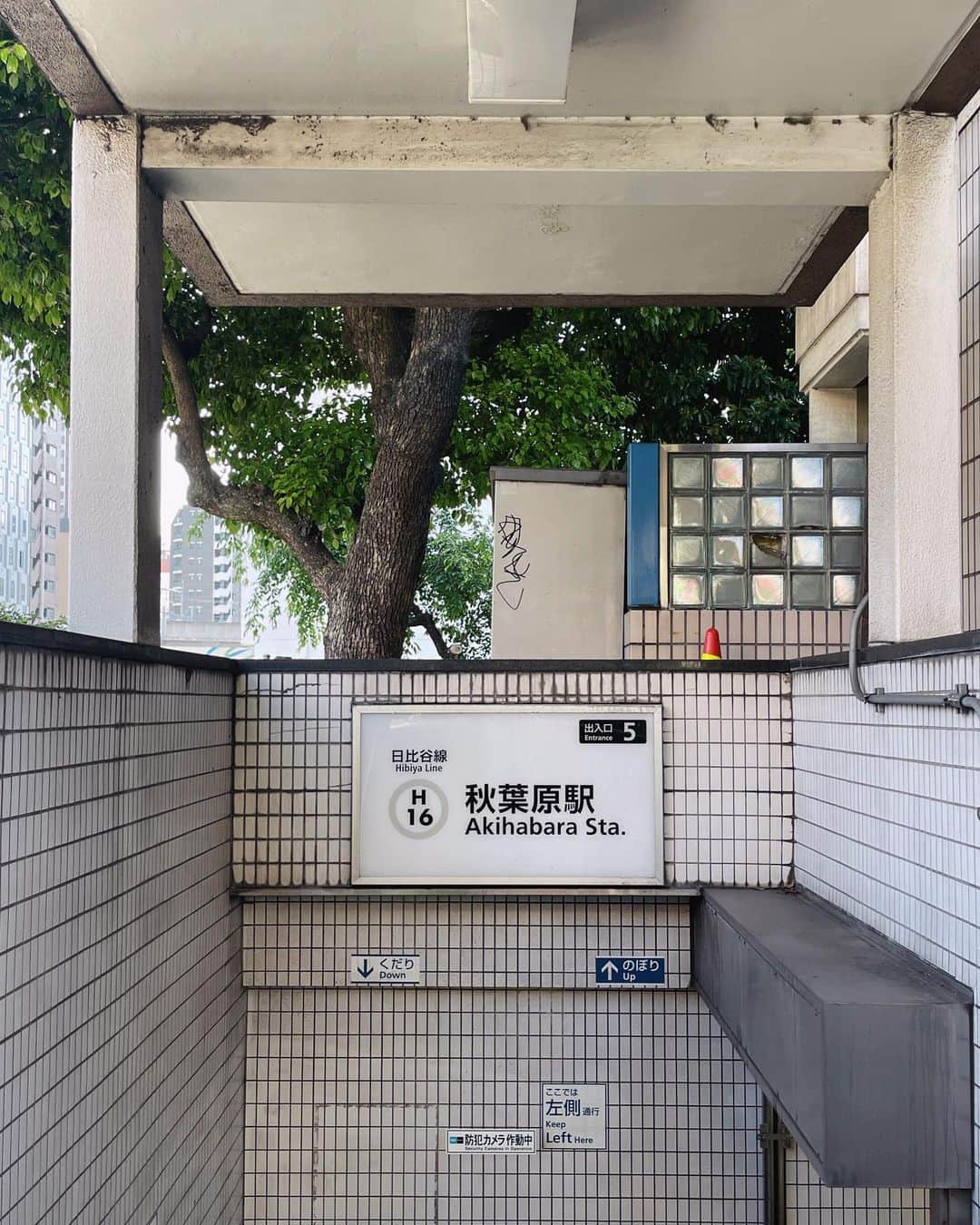 のインスタグラム：「도쿄 산책🗼少し早めに始まったGW。 温泉に行ってサウナ5セットして…。 サウナ後にレモンサワー飲んだら 顔が真っ赤になった🥴🥴🍋🍎  #サウナ した後の #レモンサワー は最高だけどすぐ酔っちゃう」