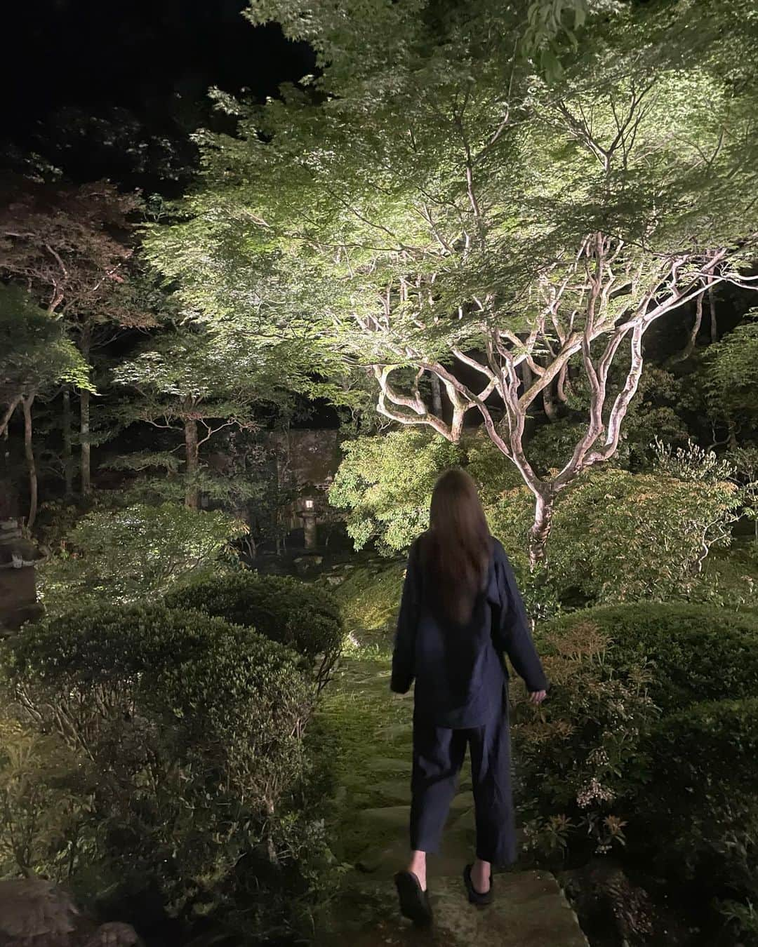 知本真以子のインスタグラム：「夜の散歩🌳」