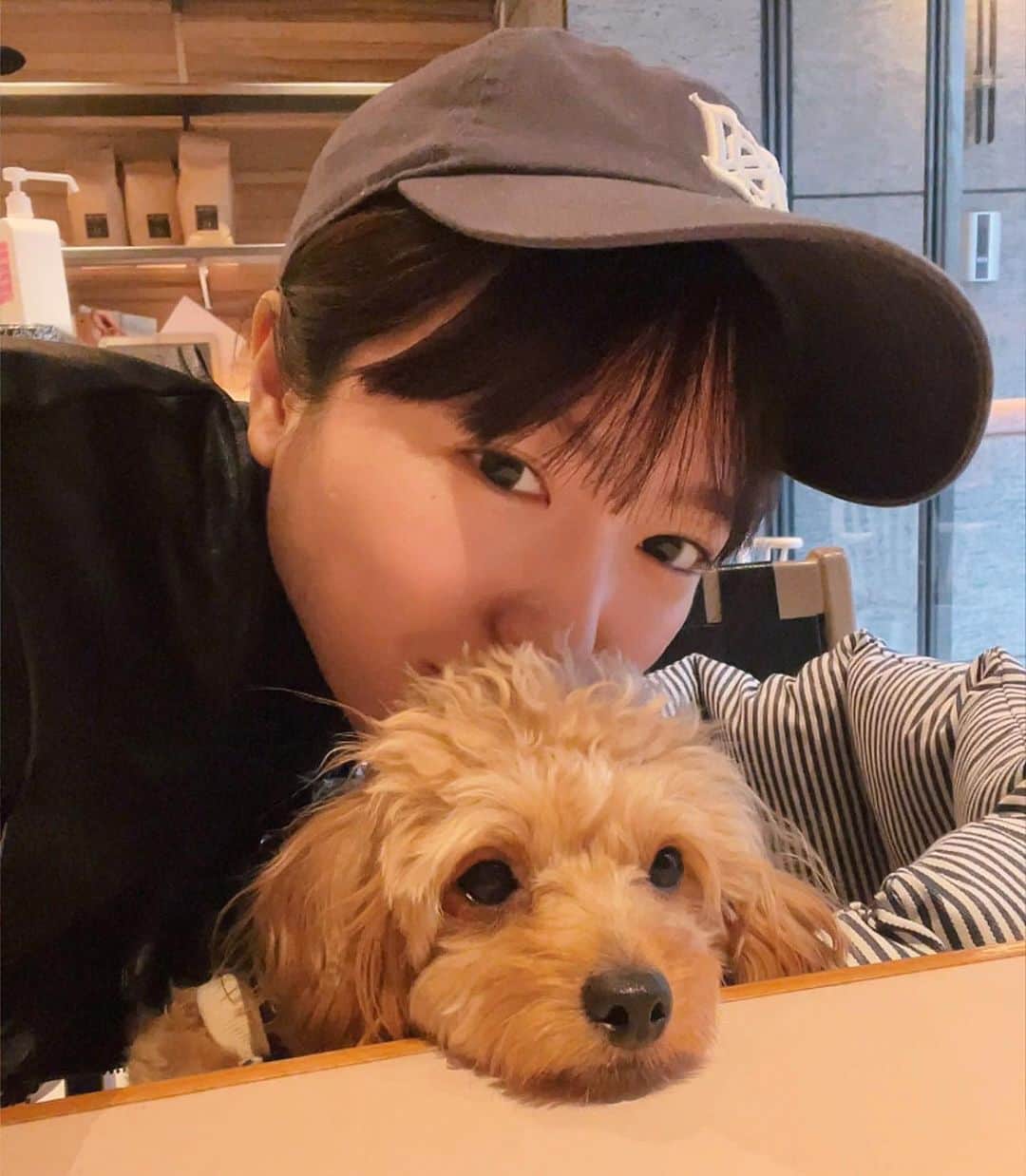 中山莉子のインスタグラム：「→ 地味に嫌がるのやめて？笑 ⁡ #愛犬 #マルプー #わんこ #犬のいる暮らし #犬バカ部 #癒し#dog#dogstagram」