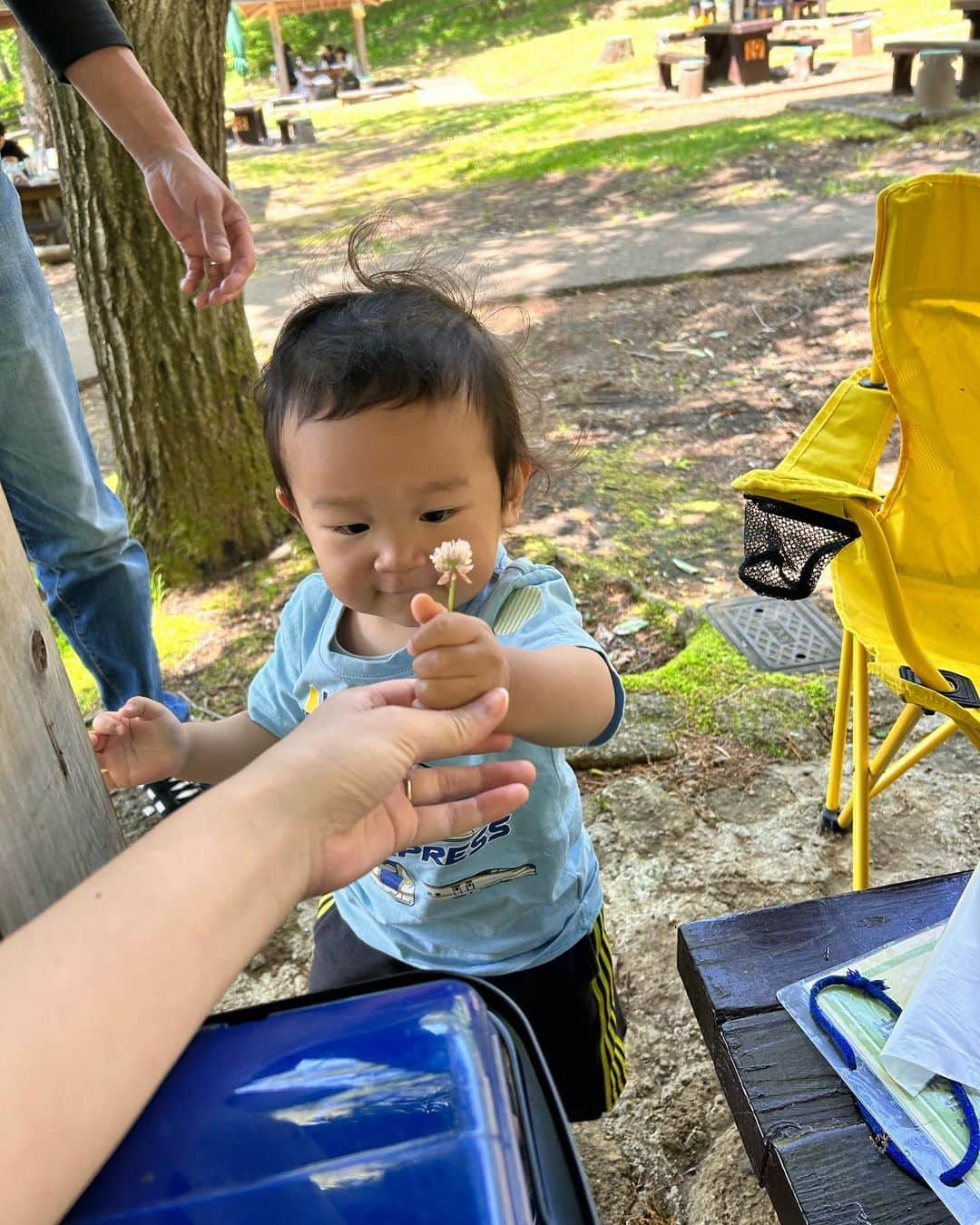 高橋茉奈さんのインスタグラム写真 - (高橋茉奈Instagram)「＊ じじばばと#BBQ ！ 遊んで、遊んで、遊んで、…本の影で寝た🤣🤣💓 バーベキュー場までの道のりが過酷すぎて めちゃくちゃ大変だったけど楽しかった〜！ いつも22時くらいに寝るけど、 たぶん今日は21時前には寝るな🤣🤣👌 #赤ちゃん#赤ちゃんのいる生活#赤ちゃんのいる暮らし#べビスタグラム#ママスタグラム#男の子#男の子ベビー#男の子ママ#成長記録#育児#育児記録#親バカ部#8月生まれ#令和生まれ#令和3年ベビー#1歳#新米ママ#長男#第一子#きーくんの成長記録#我が子は可愛い#我が子が一番#ポメラニアン」5月2日 19時43分 - 94.05.28