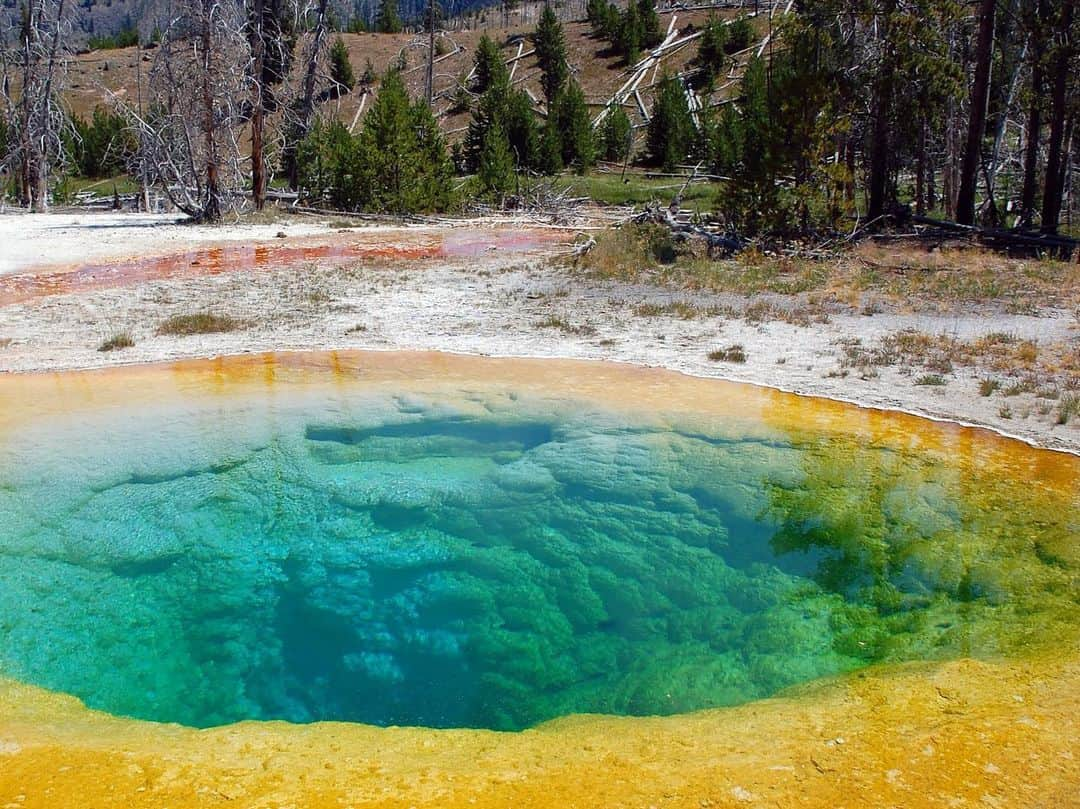 YOONさんのインスタグラム写真 - (YOONInstagram)「#Yellowstone Day 2. Textures textures texturesssss! 💙 Nothing is perfect and everything is perfect.  #grandprismaticspring #oldfaithful #uppergeyserbasin #sapphirepool #bear #bisonofinstagram」5月2日 20時03分 - yoon_ambush