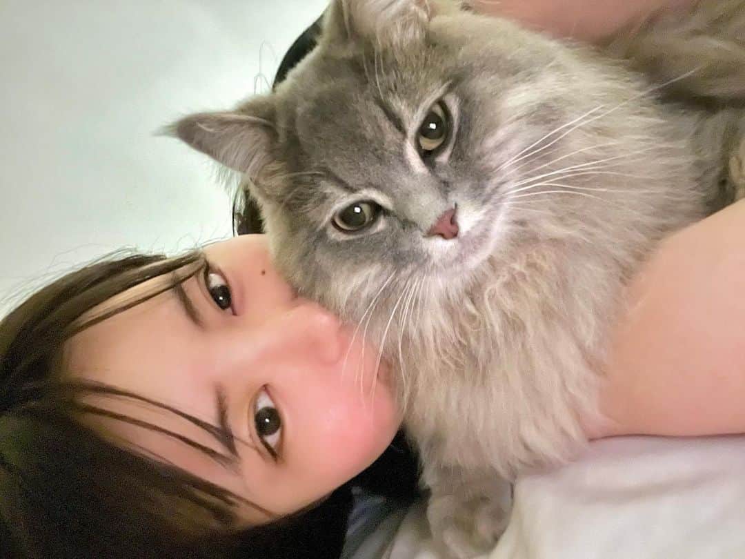 竹内花のインスタグラム：「うるさんとごろんタイム🐈‍⬛🤍  うるさんはわたしの腕に跨って寝転ぶの🫶 だから腕を伸ばしてベッドにいると甘えて来てくれます！ うるさんはわたしの腕枕が好きなようでうれしい🤭  撮影や遊びとかの予定以外基本化粧しないので最近すっぴん投稿多くてごめんね😵‍💫！ うるさんのかわいさに免じて許してにゃん🫧  #猫のいる暮らし #ねこのいる生活 #ねこのきもち #ねこすたぐらむ #サイベリアン」