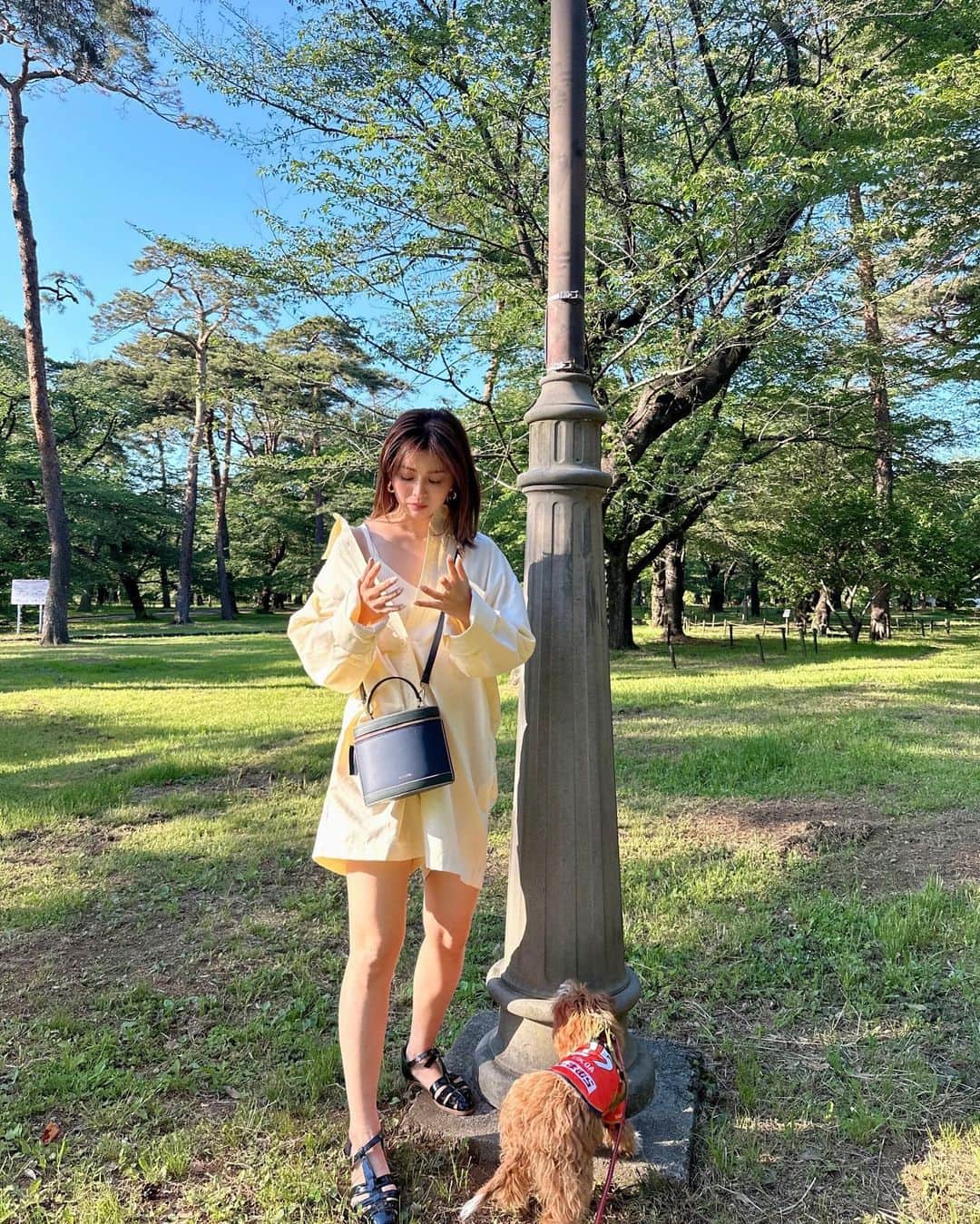 田中優衣のインスタグラム：「氷川だんごを求めて。 お散歩。  矯正つけて1ヶ月くらい経つのだけど、 調整後痛くなくて 食べ方熟知して 好きな物食べられてる🦤♡  矯正するのに4本抜歯してるんだけど、 そのときも痛み止めいらなかったから 私、歯の痛み強いみたい🤦🏻‍♀️🦷」