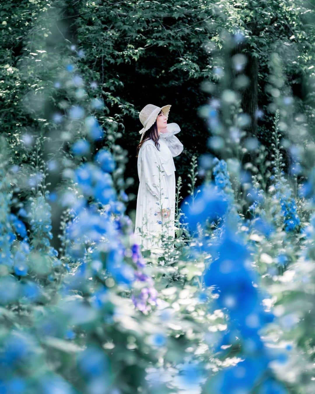 のインスタグラム：「* . . . . . blue lupine. . ブルーのルピナスは とても爽やか💙 . 引き続き素敵なGWを お過ごし下さい🥰 . . model : @fujirom_  . . FUJIFILM X-T5 /  XF50-140mm F2.8 R LM OIS WR . . お仕事・撮影のご依頼はDMかメールに お願い致します。 . . . . . . *」