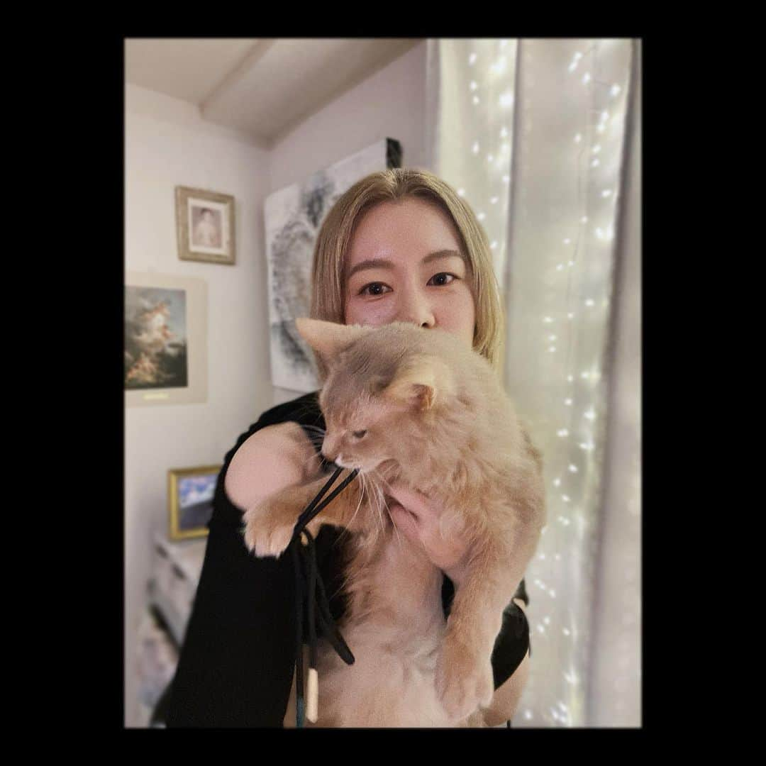 宇月颯さんのインスタグラム写真 - (宇月颯Instagram)「. . my cute cat♡pote♡ ⁡ ⁡ #愛猫#ポテ#ソマリ#フォーン #fc配信の時 #ポテも出た♡ #膝の上に座ってたよー #ポテアカウントも見てね☺︎✌︎ @pote_neko_toshi  #3時間1人で喋り倒したfc配信 #流石に長かったよな… #ご参加ありがとうございました‼︎ #ぽてとしより」5月2日 20時32分 - hayate_uzuki_official