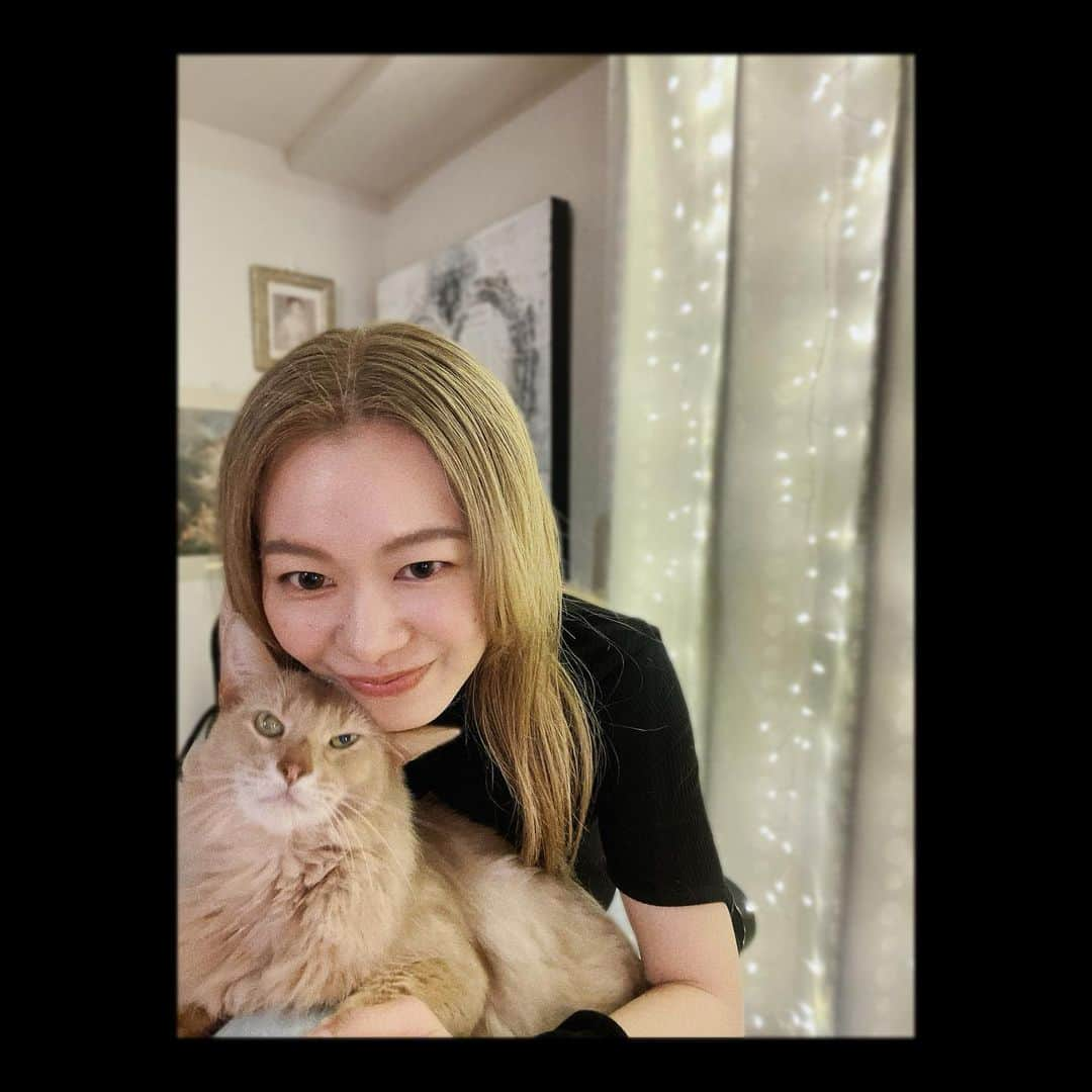 宇月颯さんのインスタグラム写真 - (宇月颯Instagram)「. . my cute cat♡pote♡ ⁡ ⁡ #愛猫#ポテ#ソマリ#フォーン #fc配信の時 #ポテも出た♡ #膝の上に座ってたよー #ポテアカウントも見てね☺︎✌︎ @pote_neko_toshi  #3時間1人で喋り倒したfc配信 #流石に長かったよな… #ご参加ありがとうございました‼︎ #ぽてとしより」5月2日 20時32分 - hayate_uzuki_official