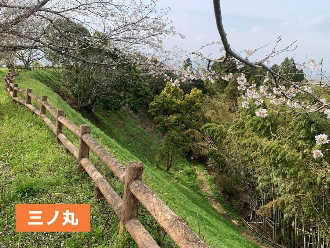 久保井朝美さんのインスタグラム写真 - (久保井朝美Instagram)「＼日本最強の城・都於郡城／ NHK「日本最強の城スペシャル」 ご覧いただいたみなさま ありがとうございます📺  最強の城に選ばれた 宮崎県の都於郡城🏆  初めて聞いた方も多いのでは？  都於郡=とのこおり と読みます。  土地の特性を生かしていて 本州では見られない 九州南部ならではのお城❤️  歩きやすく登山用の装備は不要！ 街歩きのスニーカーでOK👟 家族旅行にもおすすめです🏯  【親子de城めぐりポイント】 📸お堀の中からショット 📸お堀の上からショット 💡深いお堀はなぜできた？  宮崎県西都市にある山城で 南北朝時代の1300年代に 伊東氏が築城した中世のお城🏯  標高は100メートルほど。  本丸、二ノ丸、三ノ丸 奥ノ城、西ノ城 5つの曲輪があります。  それぞれの曲輪を隔てる 深ーーーい空堀が特徴の 土のお城です✨  空堀（からぼり）は 水がないお堀です。  写真3、4枚目はお堀の中📸 両側には急な壁！  家やビルなど 現代的なものは 何も見えません😳  鳥のさえずりが聞こえ 足元には野花が咲き 自然を堪能できます🌳  現代目線では最高ですが 当時の攻める側になると めちゃくちゃ怖いです😨  いつ上から攻撃されるか ドキドキドキドキ💦  写真で見る以上に急で お堀を登るのは無理そうです。  一方、写真5枚目は 城主の気持ちになって 「気持ち良ーーーーい」  現在、曲輪の上は 広場のようになっています。  ピクニックしたい空間です😋 私はここでお茶を飲み お菓子を食べて一息つきました🍫  写真7枚目はお堀の上📸 本丸からの眺めです。  写真8枚目は お堀の上シリーズその2✌️  三ノ丸から 下を見下ろしました。  攻めてくる敵が丸見えです😎 急峻さを実感します！  ＜親子de考えよう！お城クイズ💡＞ 「深いお堀はなぜできた？」  正解は 「シラス台地を活用している」  九州南部に分布するシラス台地は 火山が噴火したときの 噴出物が積もってできています🌋  特徴の1つは 切岸を築きやすいこと。  切岸（きりぎし）とは 斜面の土を垂直に近い角度で削って 断崖絶壁とした防御施設です。  切岸によって 深いお堀ができるので 石垣の必要がありません🪨  土地の特徴をうまく生かしたお城が 現代まで残っていることに感謝😍  ちなみにトイレは複数あって綺麗！ 安心して長居できます🚽 これはポイント高い👍  写真10枚目の像は 伊東マンショ（満所）です。  戦国時代に都於郡城で生まれ、 13歳のときに 天正遣欧少年使節団としてローマへ⚓️ ローマ法王に謁見しました。  ヨーロッパの文化や 印刷機、楽器などを日本に持ち帰り 司祭として活動した人物です。  ⁡#久保井朝美の異次元の城めぐり #推し城 #お城 #城 #お城めぐり #家族旅行 #女子旅計画  #都於郡城 #浮船城 #山城 #宮崎県西都市 #japanesecastle  #久保井朝美 #お城好きな人と繋がりたい #日本史⁡」5月2日 20時49分 - asami_k920