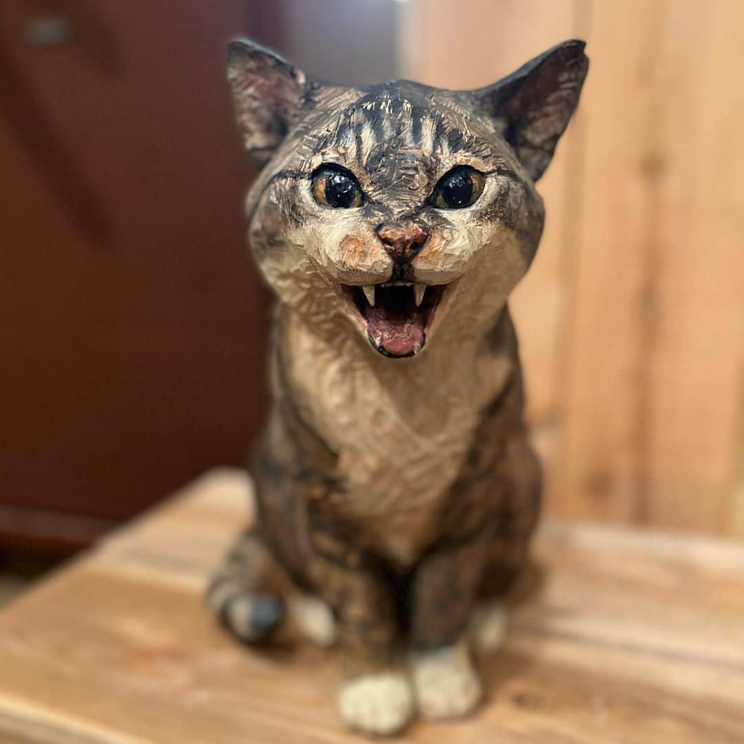 はしもとみおのインスタグラム：「猫のママンちゃん。 今が焼き付いて永遠のように感じられる時があります。 その子らしさが一番つまった瞬間を作れたら、それが最高の肖像彫刻になるように。 いきものたちと出逢って、何て素晴らしい今！と思うたび、彫刻が生まれます。こんな多様ないきものたち溢れるこの星に生まれて本当に幸せものです。 味わい尽くせないほど多くの、まだ見ぬ美しい今を、探す旅が続いていくのだなと。  #いきものたちの音#exhibition #チミママ#woodcarving #woodworking #sculpture #art#wood#cat#catstagram #catart #miohashimoto」