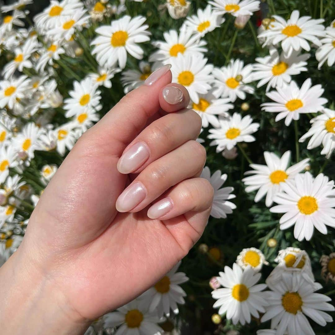 池上紗理依さんのインスタグラム写真 - (池上紗理依Instagram)「しんぷーる🫶 #nail #シンプルネイル」5月2日 20時55分 - sarii_ikegami