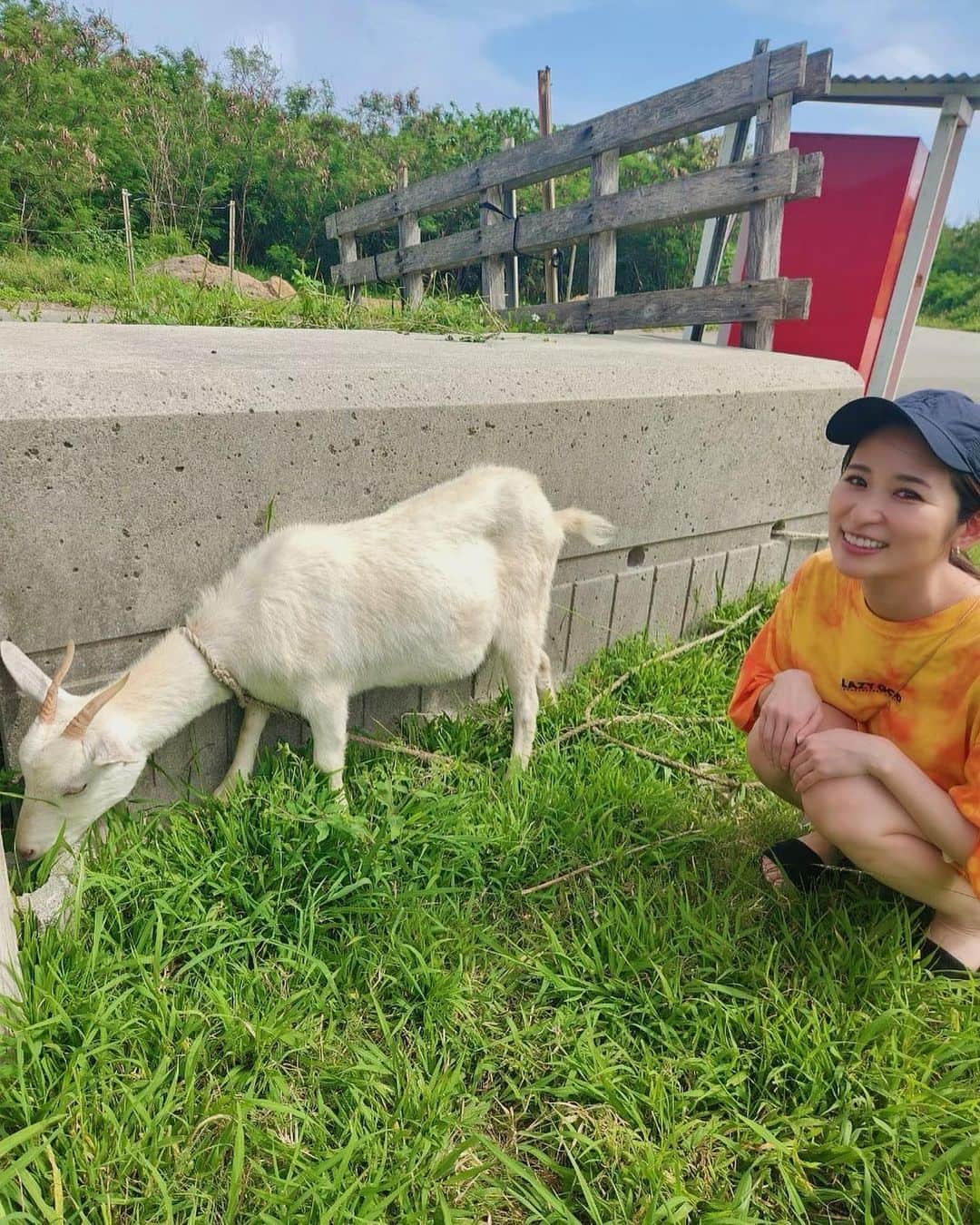 有馬綾香のインスタグラム：「やぎ🐐  ゴールデンウィークから実家に帰れるから幸せだーーー！！」