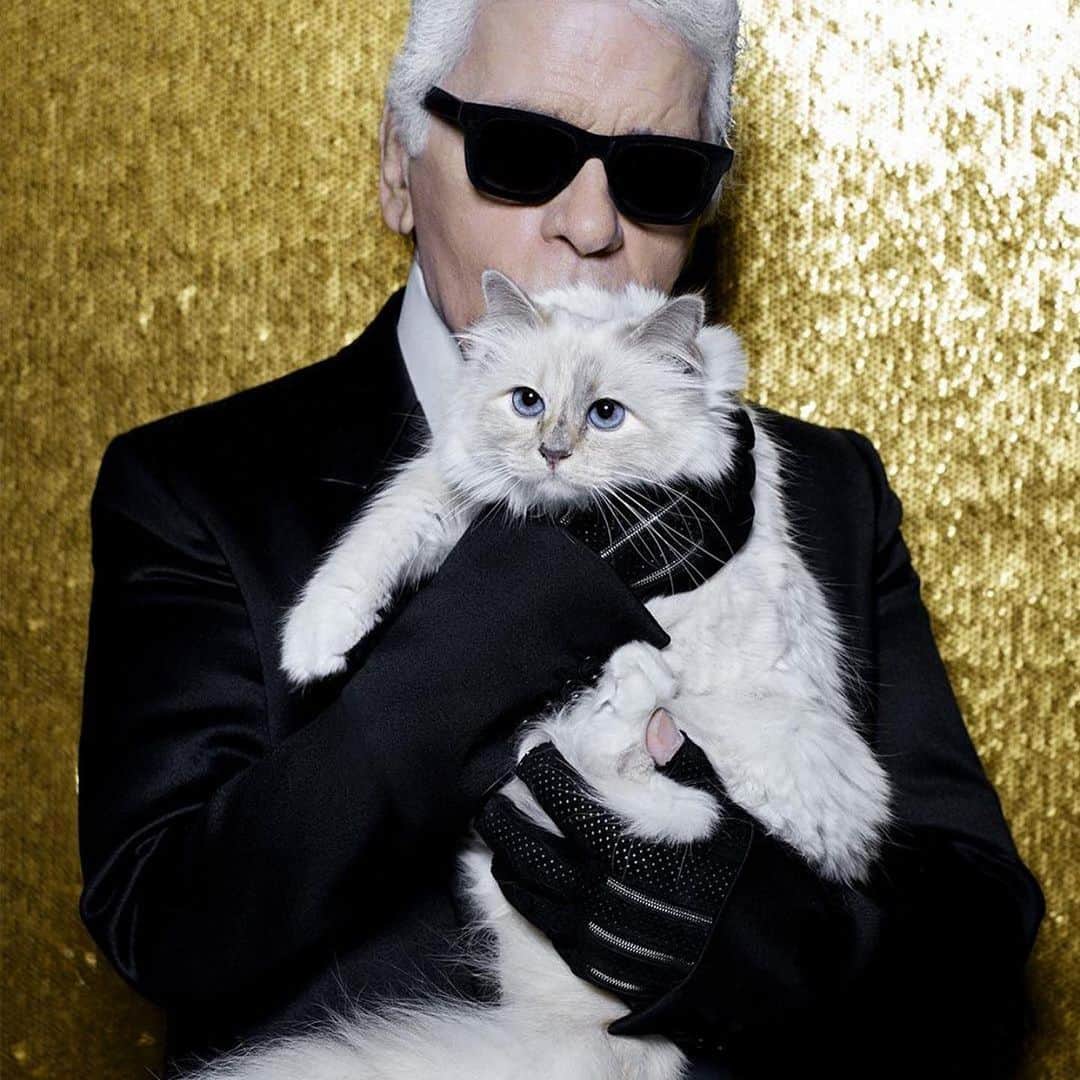 JO BAKERさんのインスタグラム写真 - (JO BAKERInstagram)「O L I V I A • W I L D E ✨ Feline feelings…on #oliviawilde for #metgala2023 ⚡️ Paying homage to the late #karllagerfeld and being inspired by his beloved cat #choupette ..I elongated Olivia’s eyes with a upper natural toned soft wing, adding creating a feline shape and enhancing her natural eye shape. Skin was bouncy and glowing with skin prep @111skin …tap for products and more details to follow on stories… later today 💋‼️ Style @karlawelchstylist @chloe  Hair @mararoszak  Makeup by me #jobakermakeupartist using #111skin and @bakeupbeauty #bakeupnotmakeup #makeupoftheday #111skinpartner」5月2日 21時03分 - missjobaker
