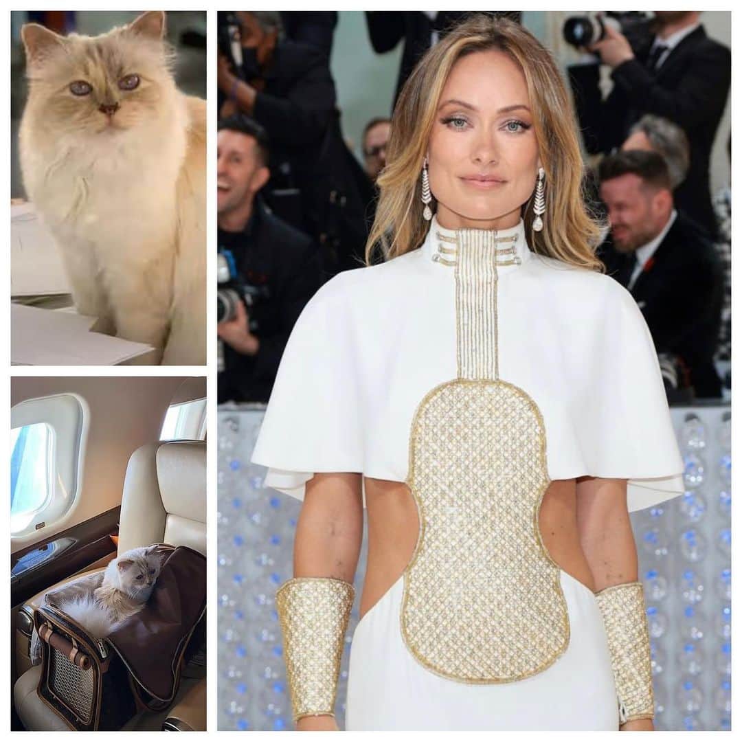 JO BAKERのインスタグラム：「O L I V I A • W I L D E ✨ Feline feelings…on #oliviawilde for #metgala2023 ⚡️ Paying homage to the late #karllagerfeld and being inspired by his beloved cat #choupette ..I elongated Olivia’s eyes with a upper natural toned soft wing, adding creating a feline shape and enhancing her natural eye shape. Skin was bouncy and glowing with skin prep @111skin …tap for products and more details to follow on stories… later today 💋‼️ Style @karlawelchstylist @chloe  Hair @mararoszak  Makeup by me #jobakermakeupartist using #111skin and @bakeupbeauty #bakeupnotmakeup #makeupoftheday #111skinpartner」