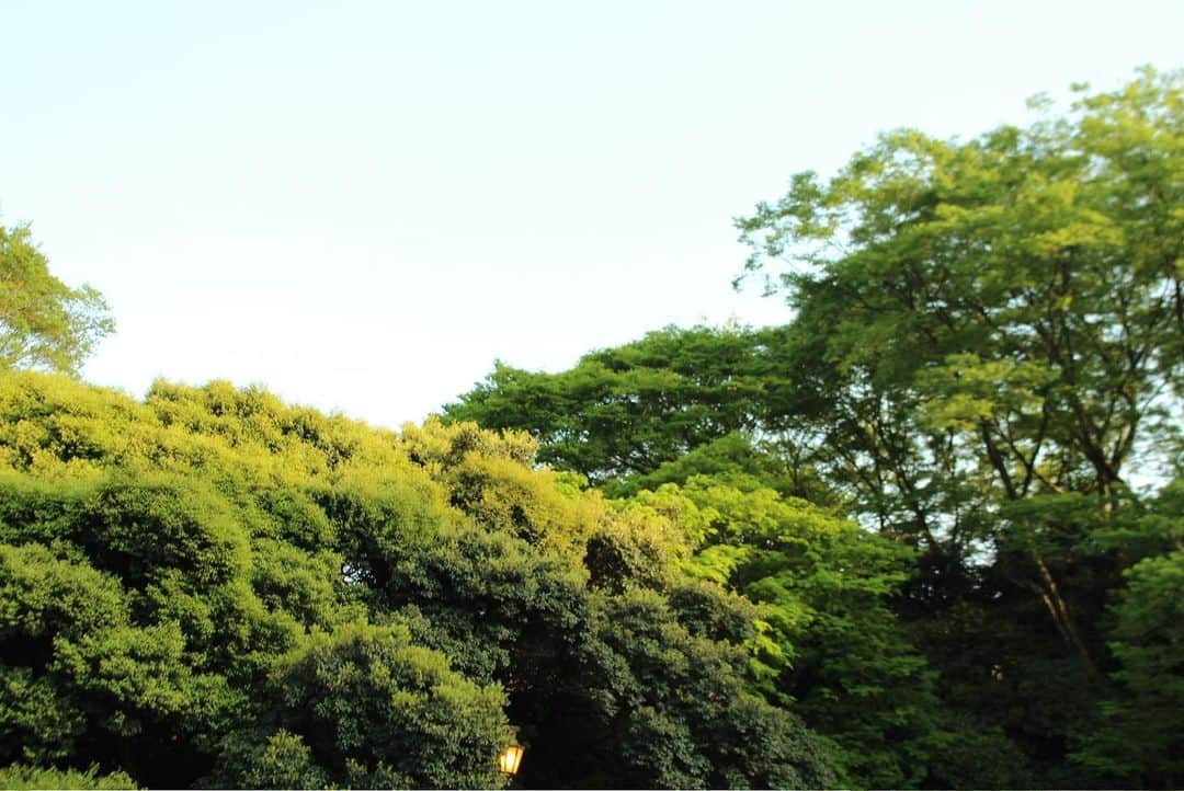 関戸奏音さんのインスタグラム写真 - (関戸奏音Instagram)「代々木公園」5月2日 21時13分 - kanon_sekido