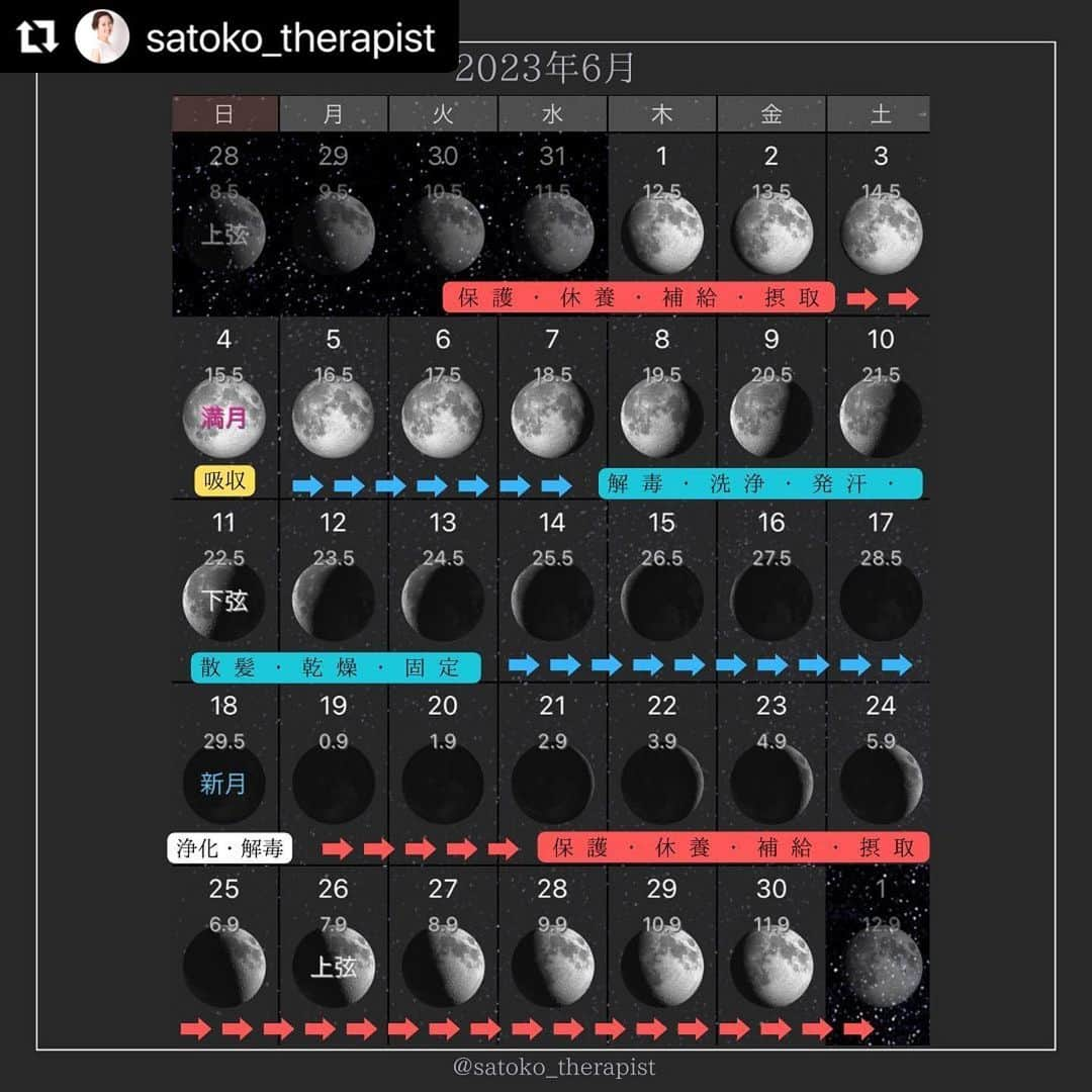 笑顔をリフォームする@健康小顔職人のインスタグラム：「〈月齢カレンダー🌙2023年6月〉 ⁡ こんにちは♪ 國枝さとこ @satoko_therapist です🐋💫  自律神経が乱れやすい春、 心身共にお疲れの方が多い様に感じます。 ⁡ ただでさえ揺らぎやすいこの時期ですが 春土用（過去の投稿ご覧ください）や 6/21の夏至に向けての陰陽入れ替えや 占星術では冥王星逆行なども… どうにも「スムーズにいかない」と 感じる事が多いかもしれません。 ⁡ 月の動き「月齢」にも影響されやすい方は できるだけ物事を悲観的に捉えず 「今はこういう時。なる様になる迄、 自分と向き合って自分を愛でる時間にしよう」 と考えてみてくださいね😌 ⁡ 来月6月は梅雨の時期☔️ 身体に熱が籠り憂鬱な気分を感じやすくなります🤒 ⁡ 月を味方につけて 上手にメンタルコントロールしてみてください🌙 ⁡ 6月もこのカレンダーが何かの形で 皆さまの助けになります様に🌈✨ ⁡ ※今月5月のカレンダーはストーリーズ 『月齢カレンダー』からとべます🔗 ⁡ #月齢カレンダー#月齢 #月を味方に#6月カレンダー ⁡ ---------------------------🌙✨ ⁡ 満月の夜に産卵するカニの話は有名ですが 人間の出産や死も「満月」や「新月」に多いことは統計上明らかだそうです🦀🤱 ⁡ また、女性の月経周期の平均は29.5日で月齢の一周期と全く同じです。 このような不思議な一致からも、 私たちの身体は月の満ち欠けの影響を受けていると考えられます。 ⁡ 人体のおよそ３分の２は「水分」=「海」なので 海と同様に身体の中で潮の満ち引きが起きているというわけです。 ⁡ そして月の満ち欠けに合わせて 私たちの生活もスケジューリングしていくと 自然と物事が上手くいったりするものです💡 ⁡ 6/1-3.6/19-6/30🌒🌓🌔上弦の月 ↓↓↓↓↓ 満ちていく月、上弦(新月から満月までのおよそ１４日間)は 「補給」「摂取」つまり身体が色々なものを吸収してエネルギーを蓄えるほか「保護」と「休養」を促します。 ⁡ 普段と同じものを食べても普段より太りやすくなるので注意！ とりわけビタミンやミネラルはよく吸収されます。 マグネシウム・カルシウム・鉄分などのサプリメントもよく効くといわれています。 ⁡ 一方で、むくみも起りやすいのです。  スズメバチの毒からキノコ中毒に至るまで、全ての中毒症状は重くなります。 ⁡ 満月に近づくにしたがって手術をするとその後の経過がだんだん悪くなる傾向があり副作用がひどくなることもあります。  ⁡ 6/4🌕満月 ↓↓↓↓↓ 満月の日は身体が何でも(人工添加物などでも)良く「吸収」します。  何を食べても太りやすくなるのでダイエットには向いていません。 ⁡ 感情の起伏も大きくなりイライラすることが増え、ついつい衝動的な行動にでたり他人とぶつかりやすくなるので注意が必要です。 ⁡ また「完了」「達成」のエネルギーに満ちているので、今まで手放せなかった習慣・人間関係・持ち物を解放すると次のステージへと進むことが出来ます。  満月のパワーが働き、自然と手放すように働きかけてくれます🌝 ⁡ 6/5-6/17🌖🌗🌘 下弦の月 ↓↓↓↓↓ 欠けていく月、下弦(満月から新月までのおよそ１４日間)は 「解毒」「洗浄」「発汗」「散髪」「乾燥」「固定」などの作用があります。 新月に近づくほど、その力は強まります。 ⁡ 手術や治療などは全てこの時期に行うとよいです。  手術の成功率が高く、回復期間が短くてすみます。  傷口からの酷い出血ということもなく、醜い傷跡が残る度合いも少ないのです。 ⁡ 家事では、消毒や掃除、洗濯などは効果が高いということになります。 ⁡ 6/18🌑新月 ↓↓↓↓↓ 身体の「浄化」や「解毒」に最適。 そして何か新しいことを始めるのも良いでしょう。 たとえば禁煙禁酒などをスタートさせたりするのにも向いています。 ⁡ また新月には自殺が多いと警視庁の発表にも明記されているので注意が必要です。 ⁡ ✎＿＿＿＿＿＿＿＿＿＿＿＿＿＿ ⁡ ℹ️サロンメニュー（施術・セッション）のご予約、 講座のお申し込みは公式LINEから承っております →プロフィール🔗から簡単お友達登録可能♪ 最新の空き状況はInstagramストーリーで 随時お知らせしております📢 ⁡ ▶︎人々に感動を与える施術を🫳✨ #セラピスト養成スクール #ヘッドスパ講座 『1DAYドライヘッドスパPro講座』 随時開催リクエスト受付中♪ ⁡ ▶︎「あなた史上最小」のお顔作ります💆‍♀️ #オールハンド小顔整顔 ⁡ ▶︎その日その時のお身体にあわせて #オーダーメイドボディ整体 ⁡ ▶︎「あなたのトリセツ」作ります！✍️ 風水薬膳®︎茶&五行推命養生セッション ⁡ ▶︎國枝さとこ監修温活アイテム♨️🌿 #nakeda_alphaハーブパッド ▷▷@nakeda_alpha」