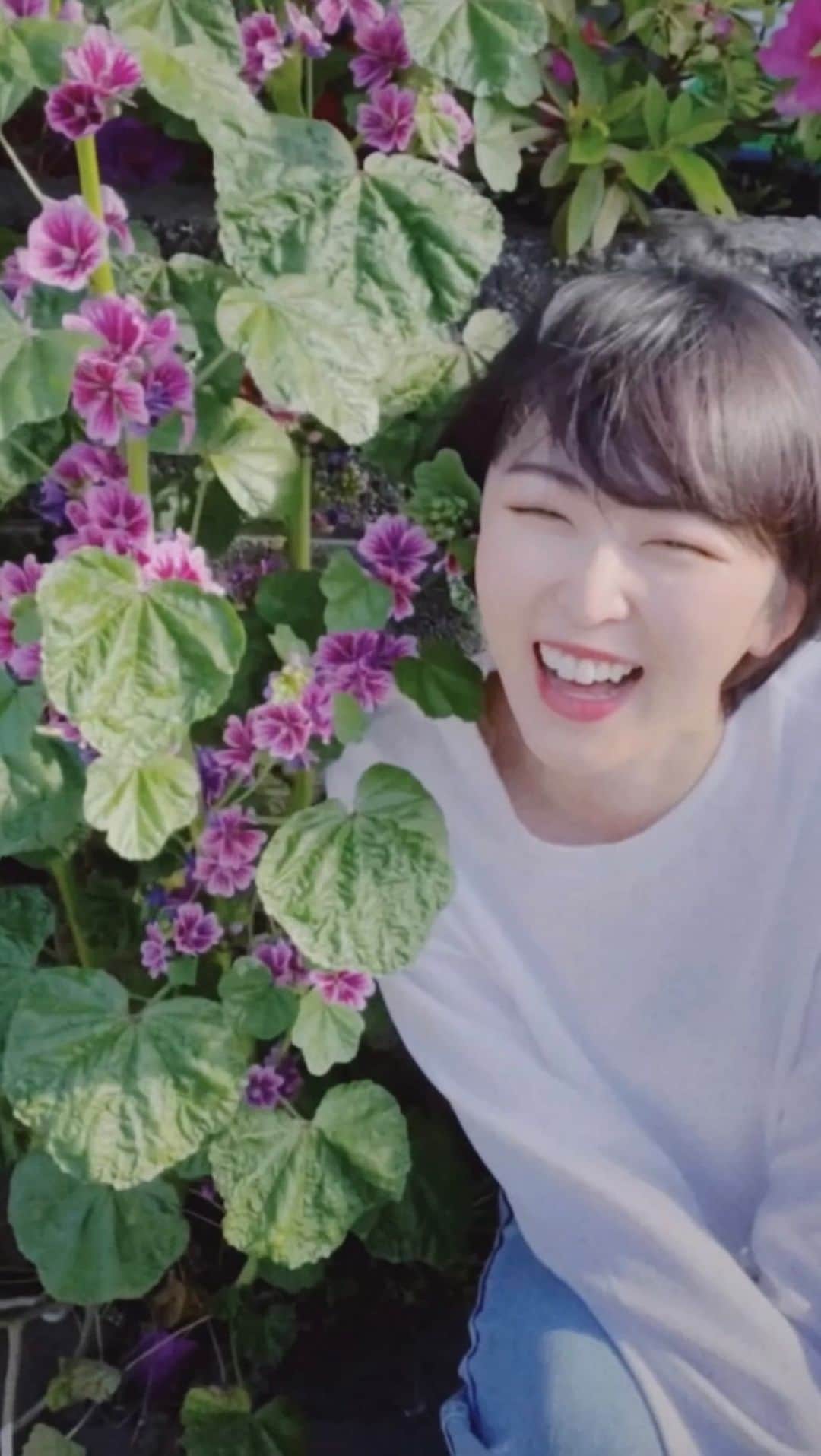 のインスタグラム：「#さら散歩」