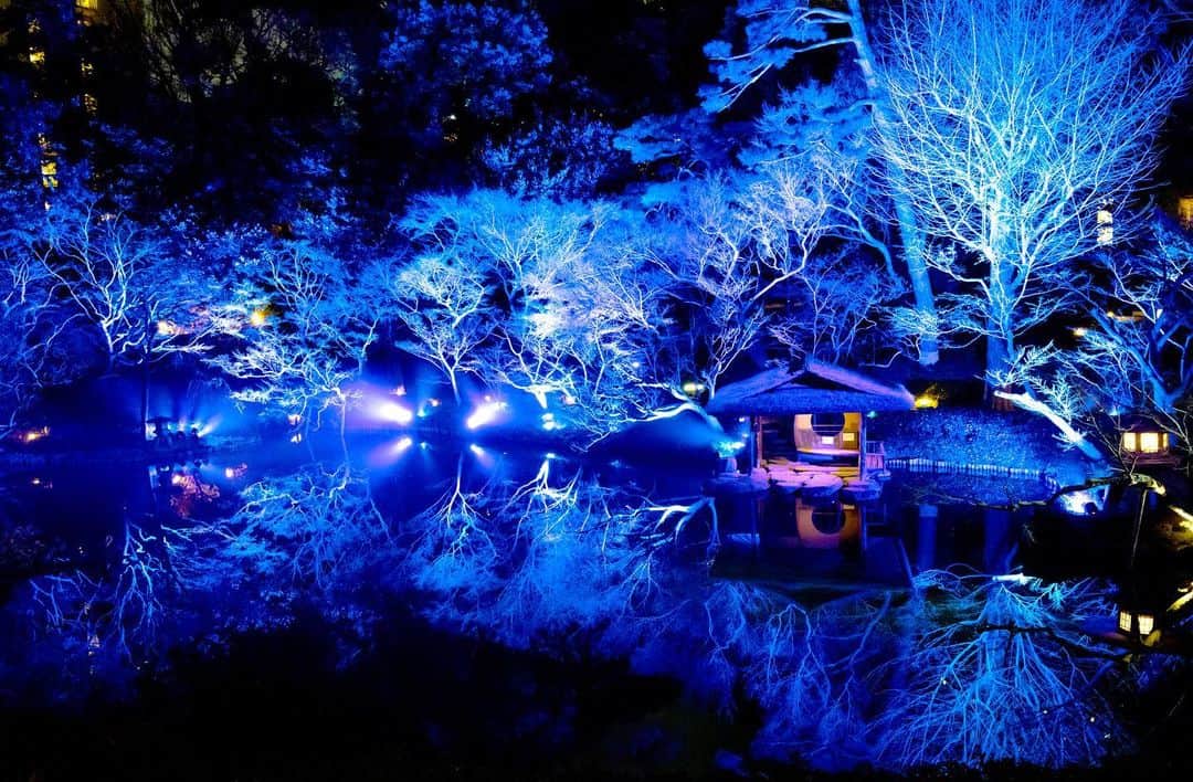 八芳園のインスタグラム：「〈創業80周年記念〉世界的トップアーティストと八芳園シェフによる音と食の饗宴を5月22日(月)開催「交流文化創造SHOWCASE『Lightscape at HAPPO-EN 四季』」🎻🍃🍽  今年創業80年を迎える八芳園は、日本の文化や伝統を継承し、新たな価値の創造を通じて日本ならではの美意識を発信し続けてまいりました。  創業80年を節目とし、交流文化創造をリードする企業として動き出した八芳園の新たな取り組みとして、「交流文化創造SHOWCASE『Lightscape at HAPPO-EN 四季』」を開催いたします。  第一弾となる今回は、音楽と料理を融合させた交流文化の創造をご体感いただきます。  第一部では、世界で活躍するヴァイオリニスト木嶋真優氏(@mayukishima)とスター・プレイヤーズ・アンサンブルの皆様をお招きし、「ヴィヴァルディ 四季」を演奏するコンサートを開催。第二部では、八芳園シェフが「ヴィヴァルディ 四季」に着想を受けて仕上げた、一日限りの特別創作料理をご提供いたします。また、スペシャルコンテンツとして、約400年の歴史ある日本庭園が幻想的な世界に染まる「Lightscape in Japanese Garden」をこの日のためにご用意いたします。  日本を代表する世界的アーティストの皆様と八芳園シェフによる音と食の協奏で奏でる、新たな交流文化の創造をご体感ください。  【交流文化創造SHOWCASE『Lightscape at HAPPO-EN 四季』開催詳細】  開催日：2023年5月22日（月） 時 間：〈受付〉18時00分（アペリティフタイム）  〈開宴〉第一部 18時30分～／第二部 19時30分～21時00分 予定 場 所：東京都港区白金台１-１-1 八芳園 1階「ジュール」 演 奏：ヴァイオリニスト 木嶋真優氏（MIYAZAWA&Co.、ワタナベエンターテインメント所属）  スター・プレイヤーズ・アンサンブル（弦楽アンサンブル） 料 金：全卓指定・事前予約制  ［S席］25,000円／［A席］20,000円  ※S席、A席ともに他のお客様との相席での利用となります。  お申し込み：https://passmarket.yahoo.co.jp/.../detail/02ym8c6rq0131.html（※デジタルチケット「パスマーケット」へ遷移します）  特設サイト：https://www.happo-en.com/event/Lightscape_0522/  お問い合わせ先：株式会社八芳園 〈TEL〉0570-064-128[平日10:00～19:00／土日祝9:30～19:30] 〈MAIL〉eventproduce@happo-en.com  🎻🍃🍽  #八芳園 #日本庭園 #happoen #Japanesegarden #ライトアップ #イルミネーション #コンサート #ヴァイオリン #ディナーコンサート #グルメ好きな人と繋がりたい #グルメスタグラム #gourmet #ディナー #bestphoto_japan #instravel #team_jp_ #japantravel #jp_mood #jp_views #ig_japan #jp_gallery #japanesegarden #tokyotrip #japan_of_insta #dreamyphoto #wonderful_places #bestphoto_japan #japan_night_view」