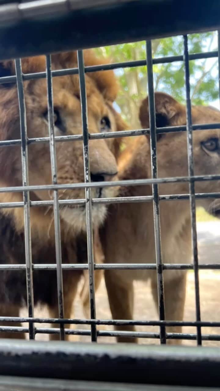 松尾翠のインスタグラム