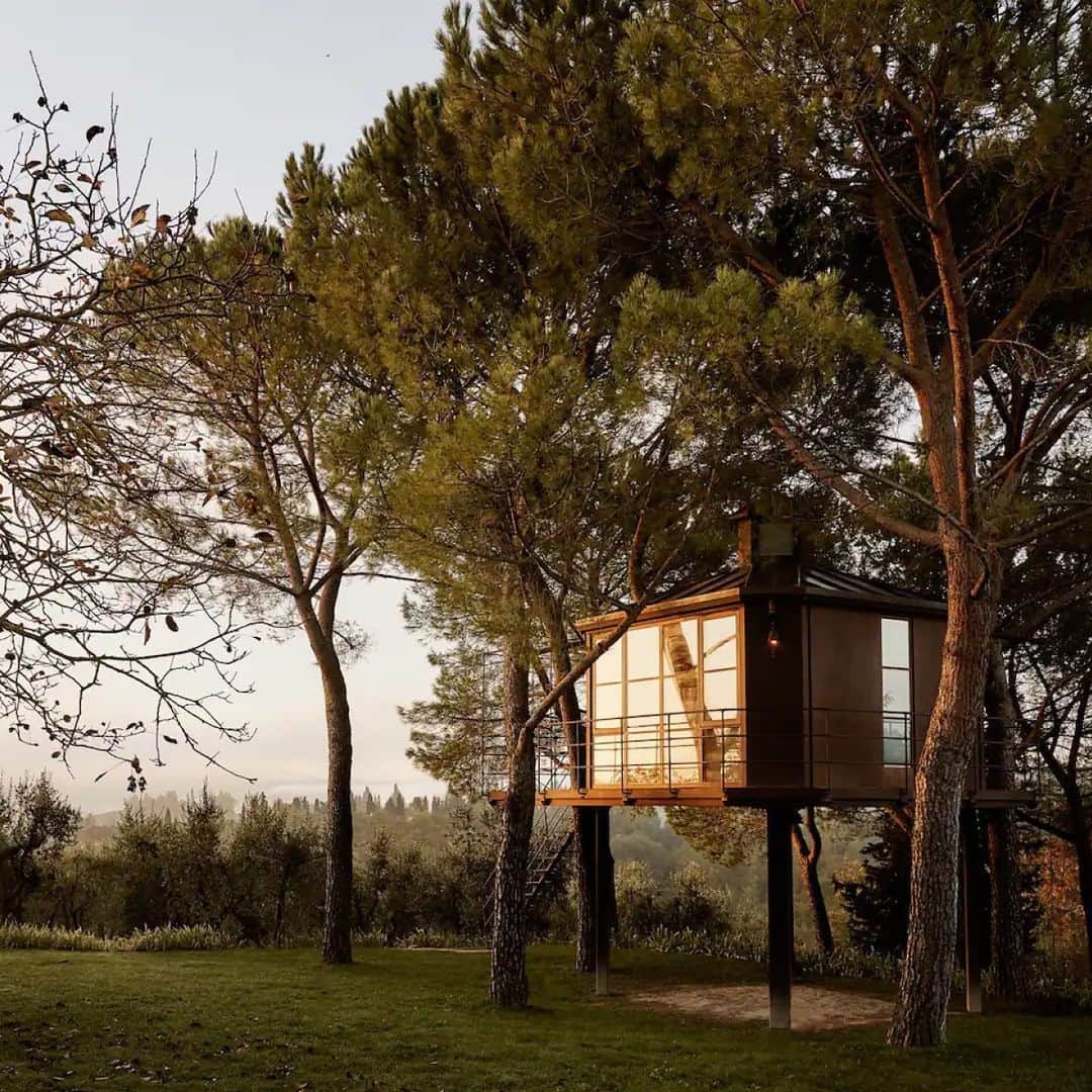 Airbnbのインスタグラム：「Wake up on an olive vineyard in Tuscany.」