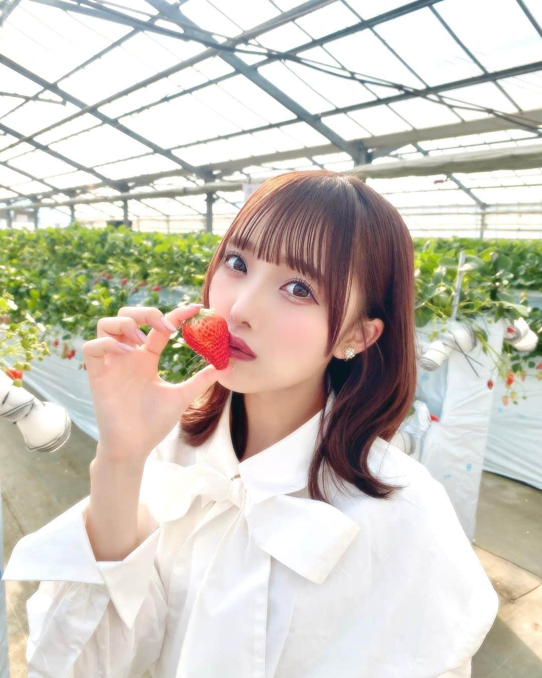 落合希来里さんのインスタグラム写真 - (落合希来里Instagram)「🍓  毎日食べていたいくらいスキ！ 目標の100個食べれなかったから 次こそは達成したい〜〜！！  新しいワンピースも着て にこにこな日だった〜〜₍ ᐢ. ̫ .ᐢ ₎ いこのいじょいchみてみてねっ！  #いちご狩り #idol #きらまむすたいる」5月2日 22時09分 - _ochiaikirari_